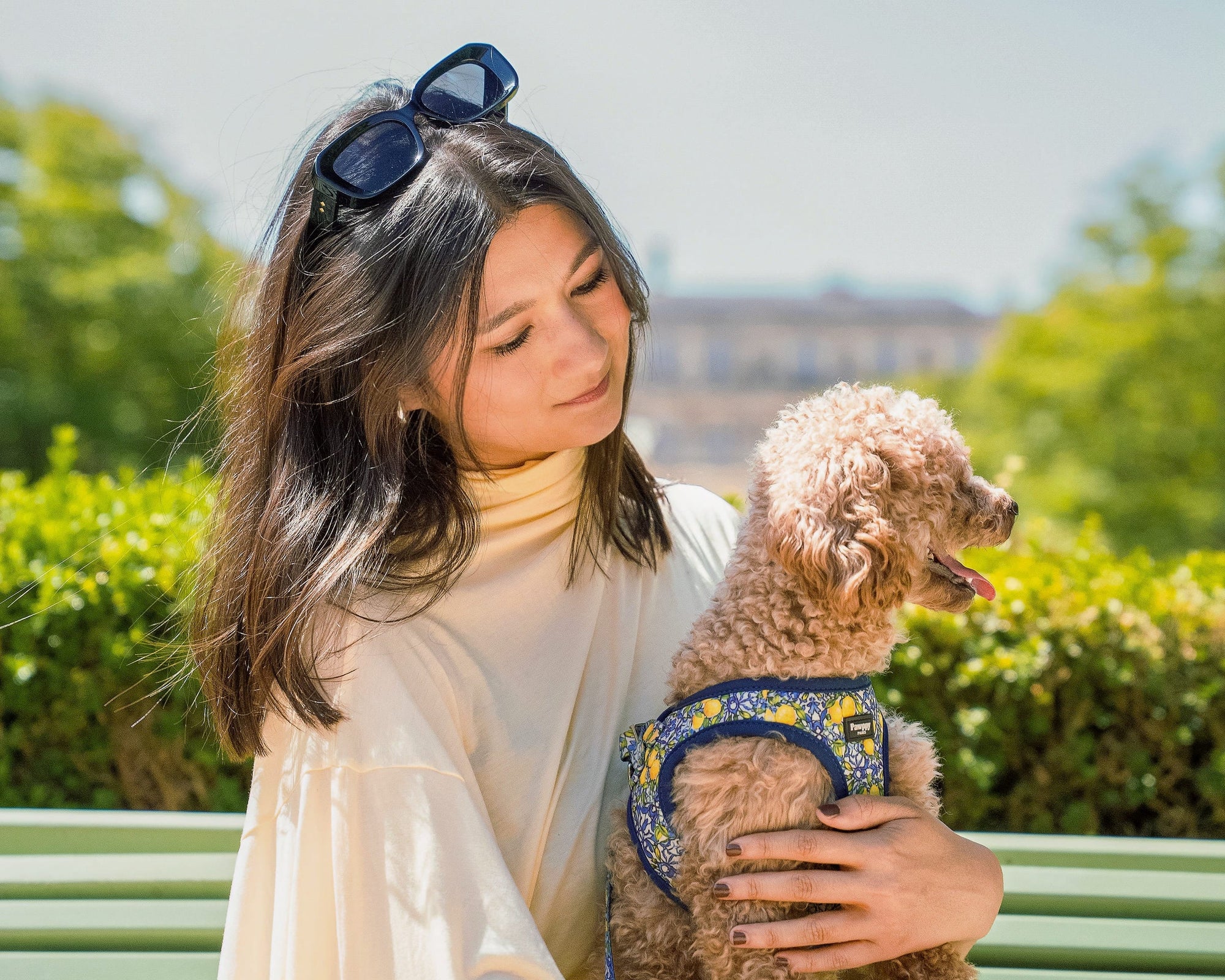 Notre histoire - Pawppy Paris