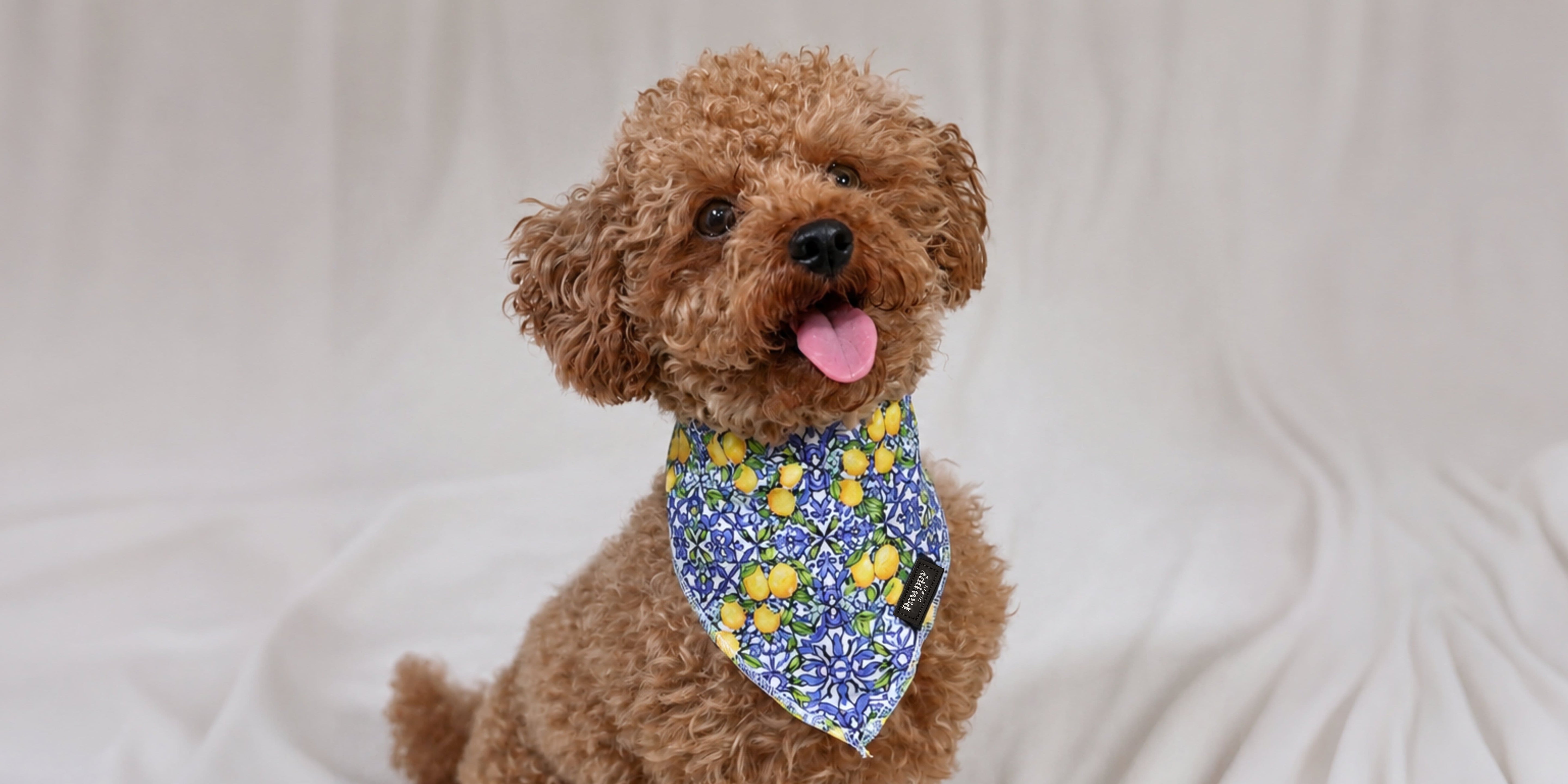 Bandana