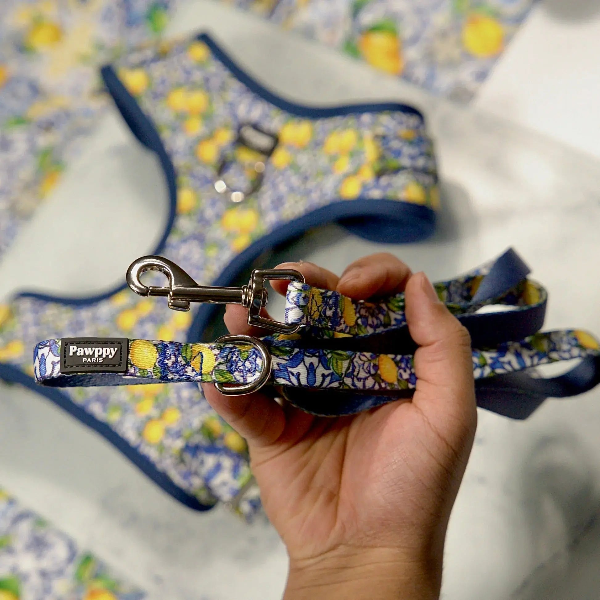 Laisse Amalfi - Pawppy Paris