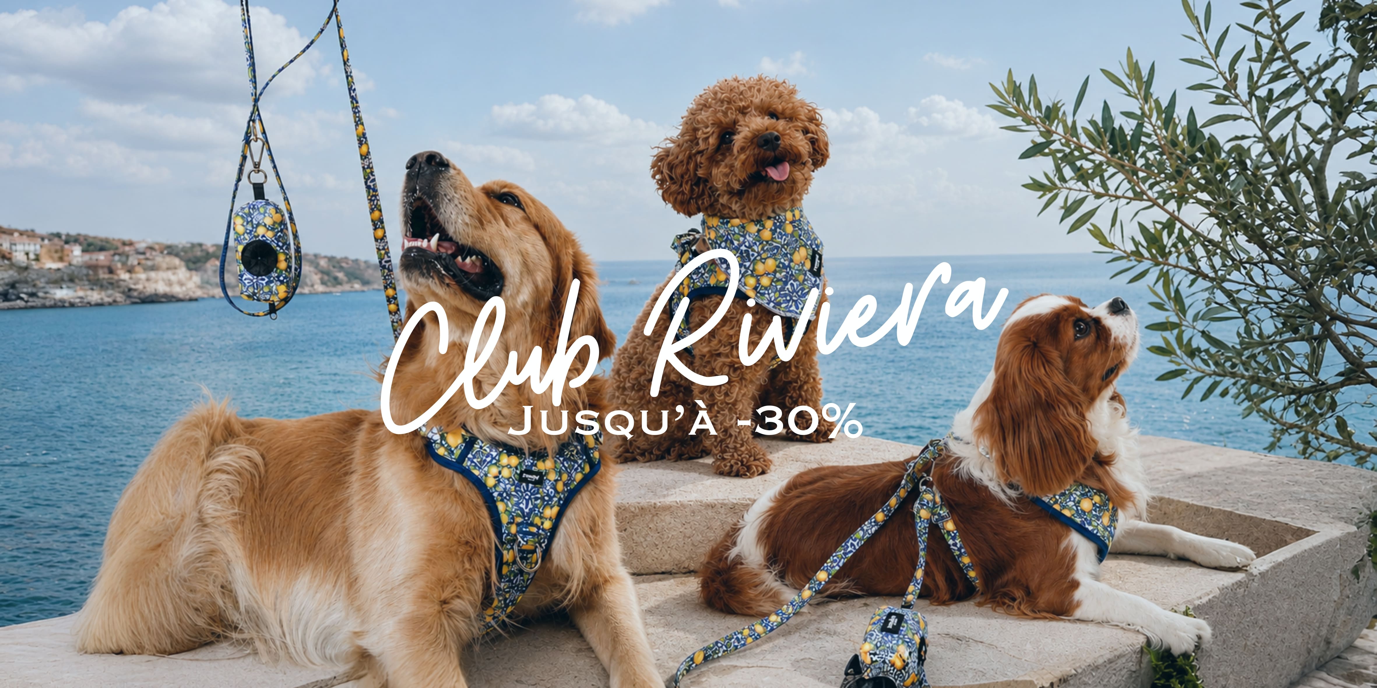 Club Riviera - Pawppy Paris