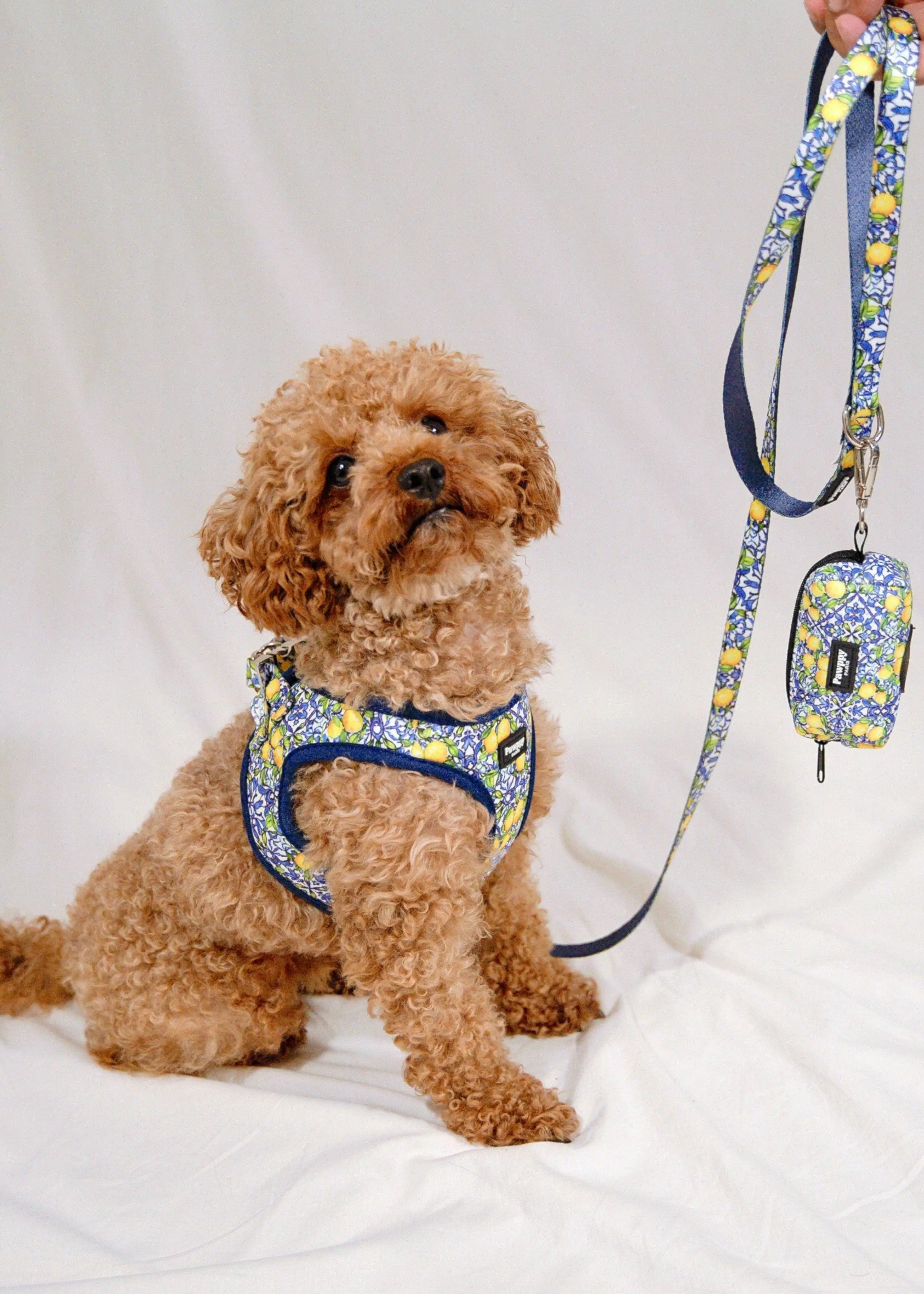Kit Mini Amalfi - Pawppy Paris