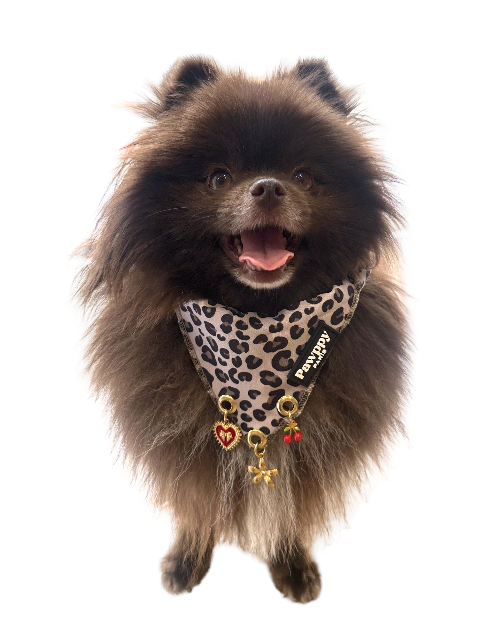 Bandana avec breloques - Pawppy Paris