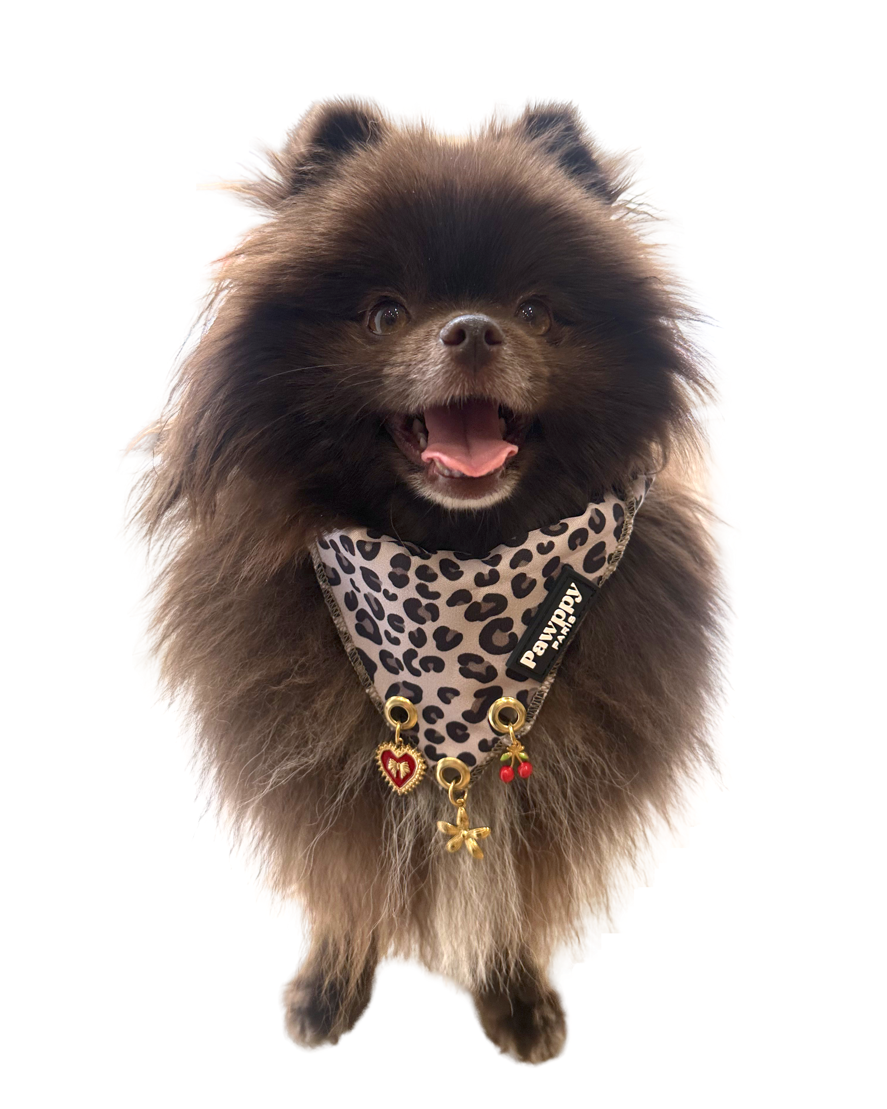 Bandana avec breloques - Pawppy Paris