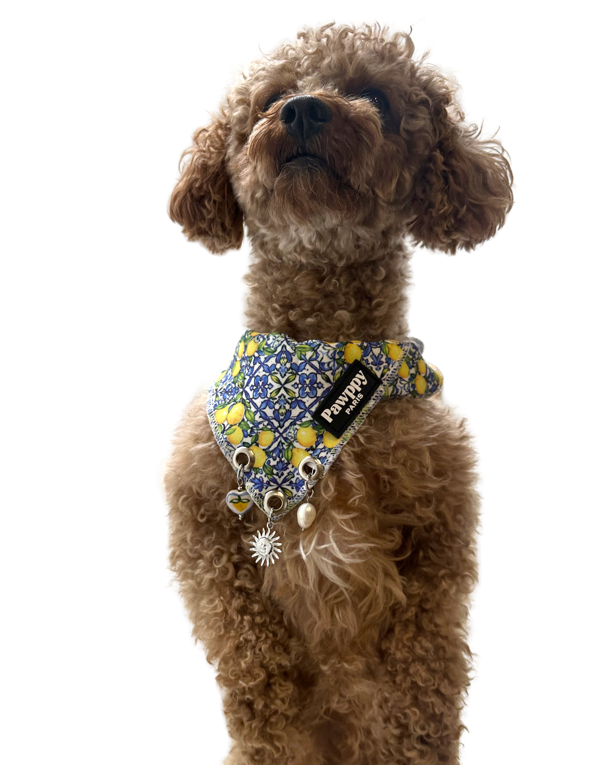 Bandana avec breloques - Pawppy Paris