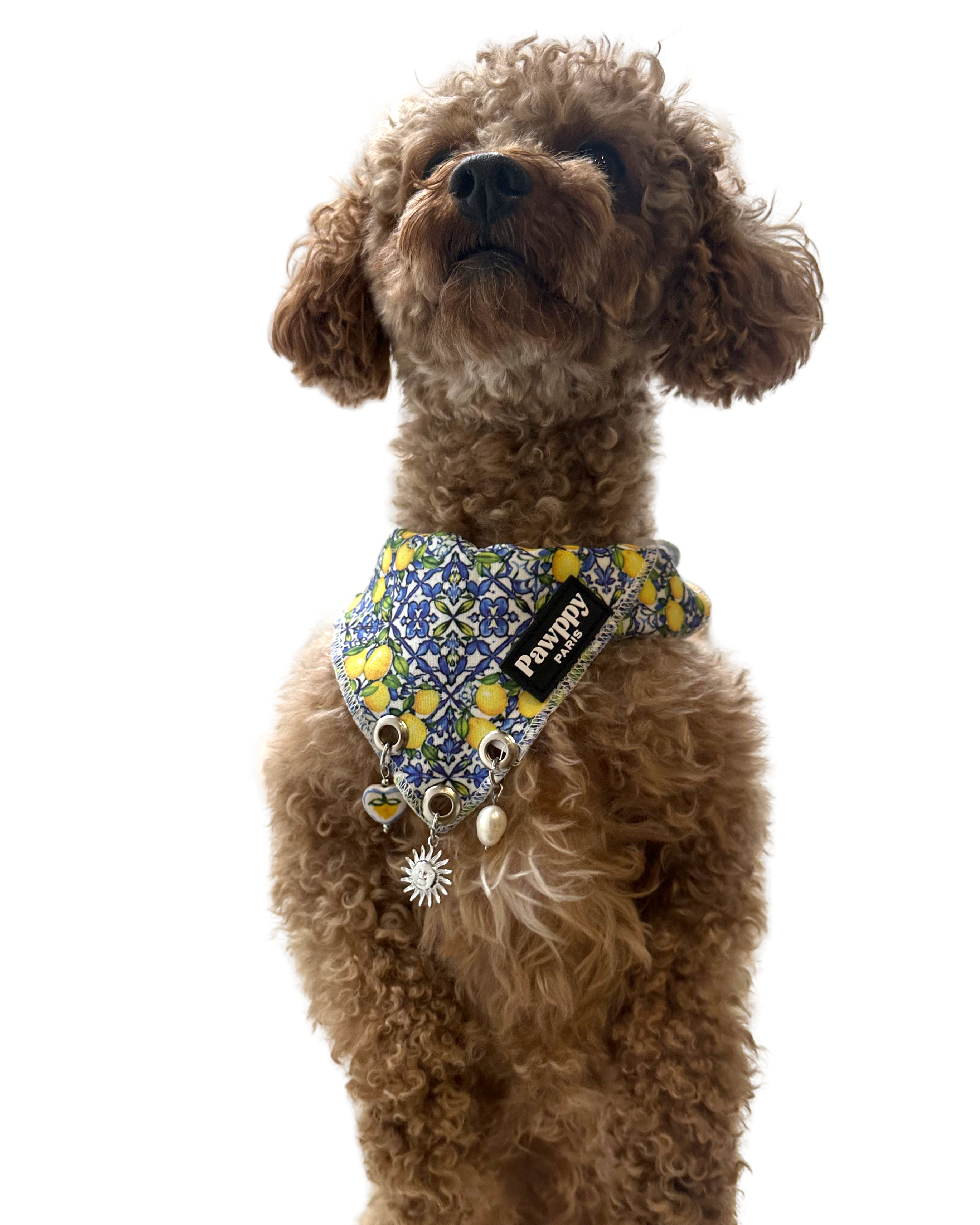 Bandana avec breloques - Pawppy Paris