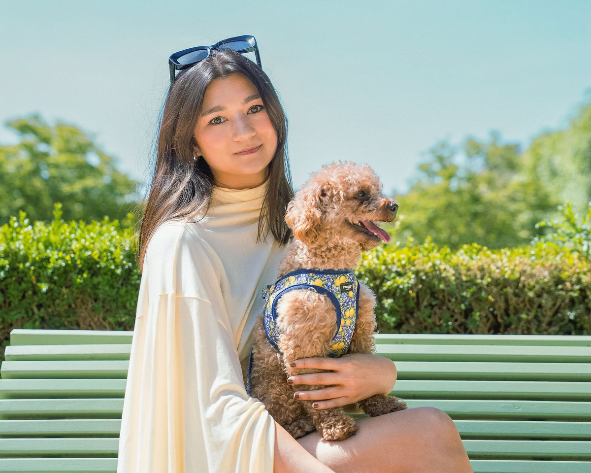 Notre histoire - Pawppy Paris