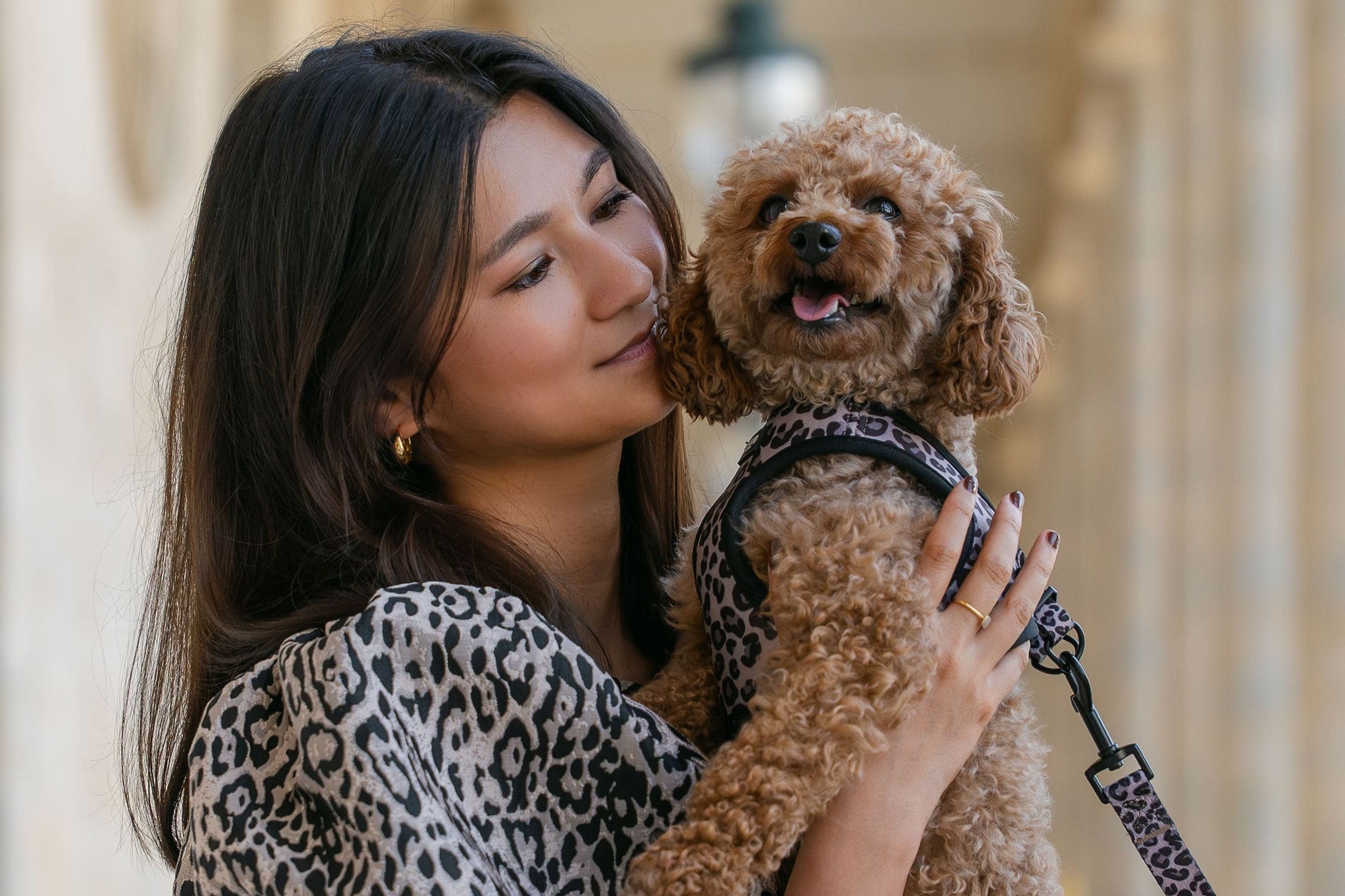 Notre histoire - Pawppy Paris