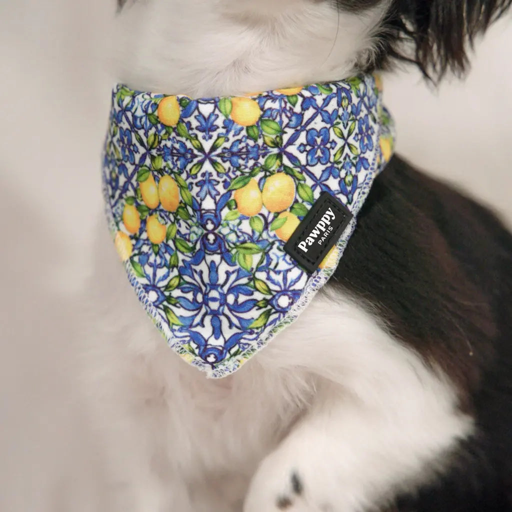 Bandana Amalfi - Pawppy Paris