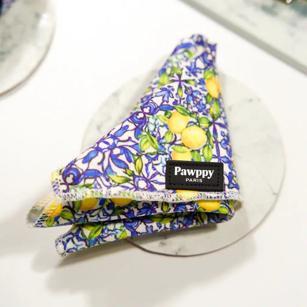 Kit Mini Amalfi - Pawppy Paris
