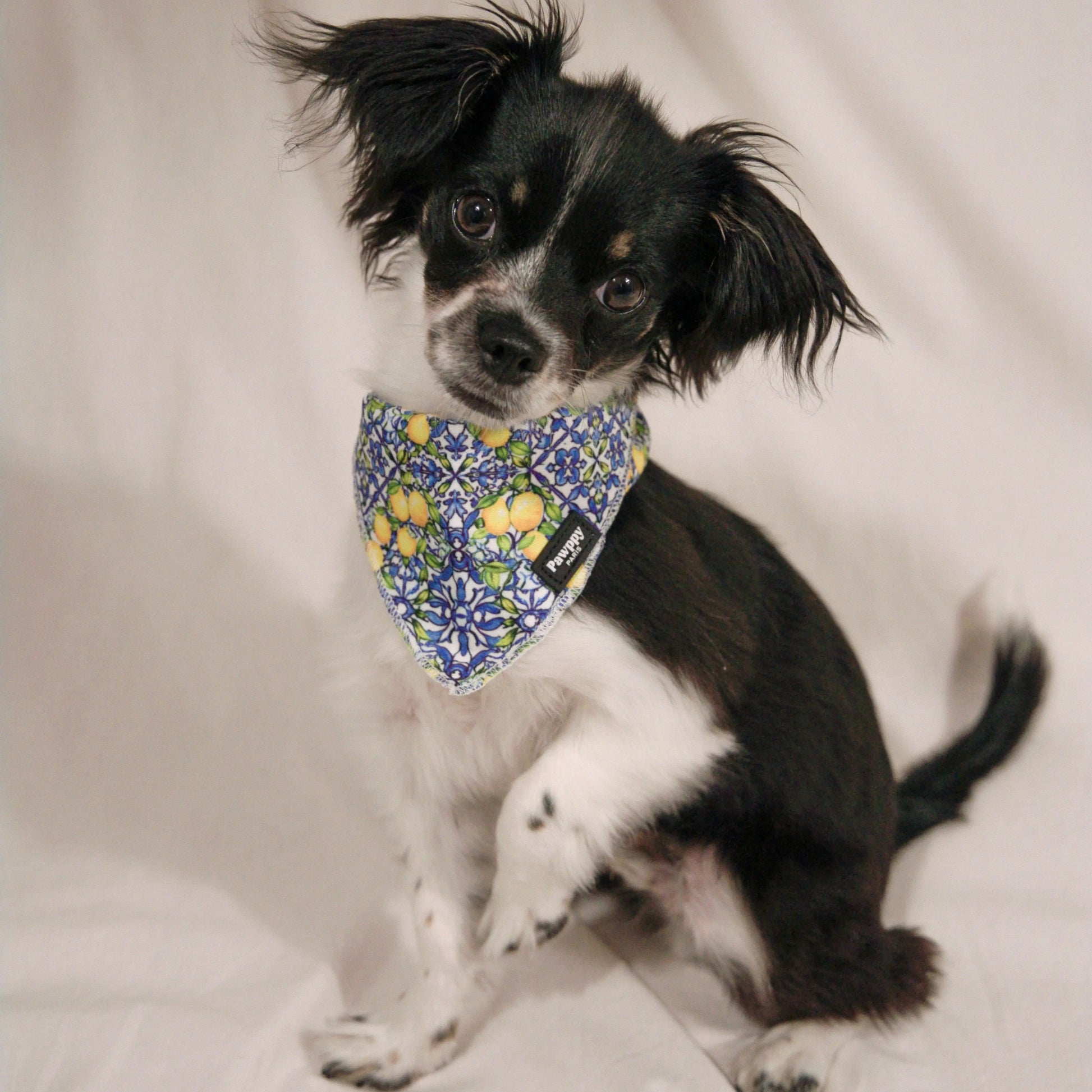 Bandana Amalfi - Pawppy Paris