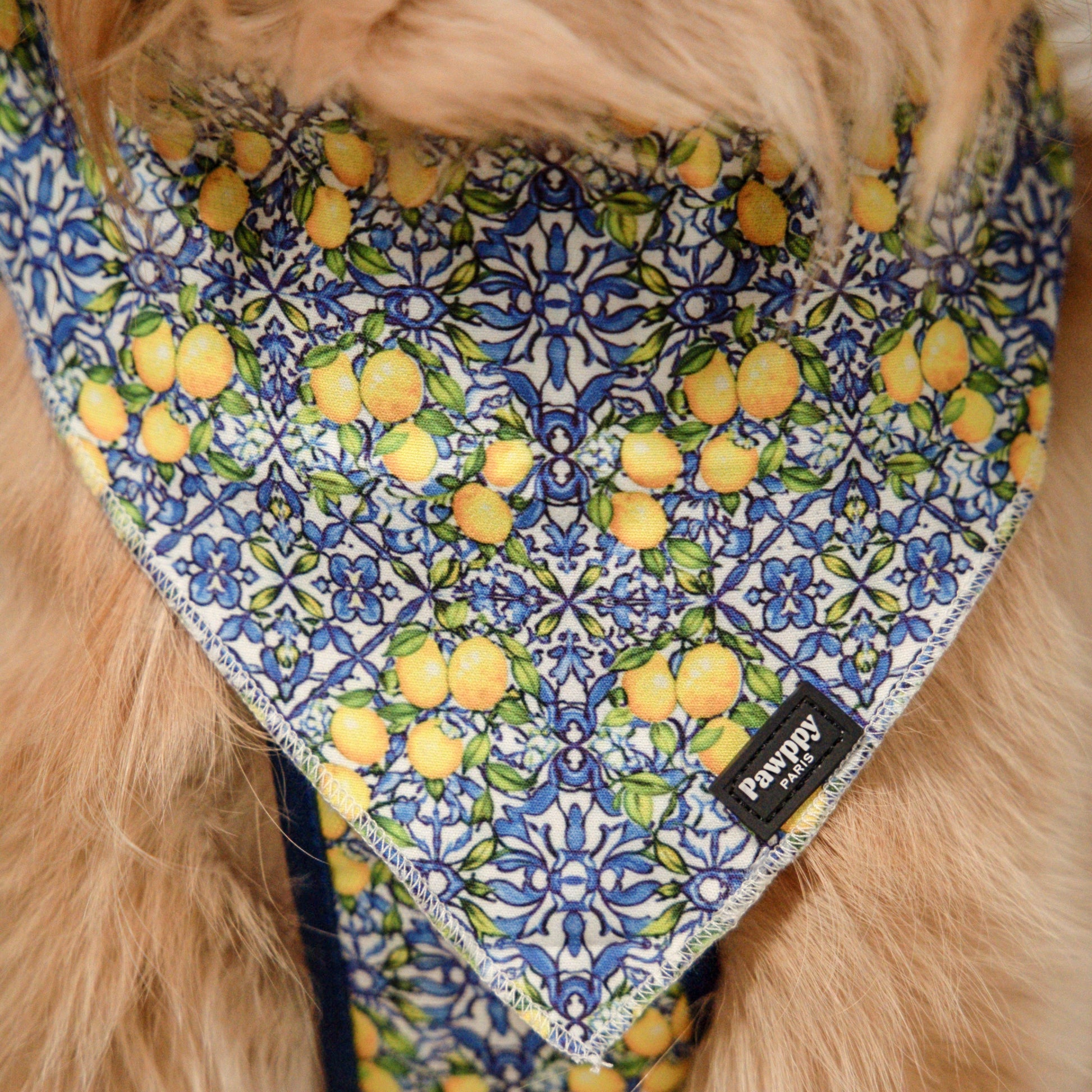 Bandana Amalfi - Pawppy Paris