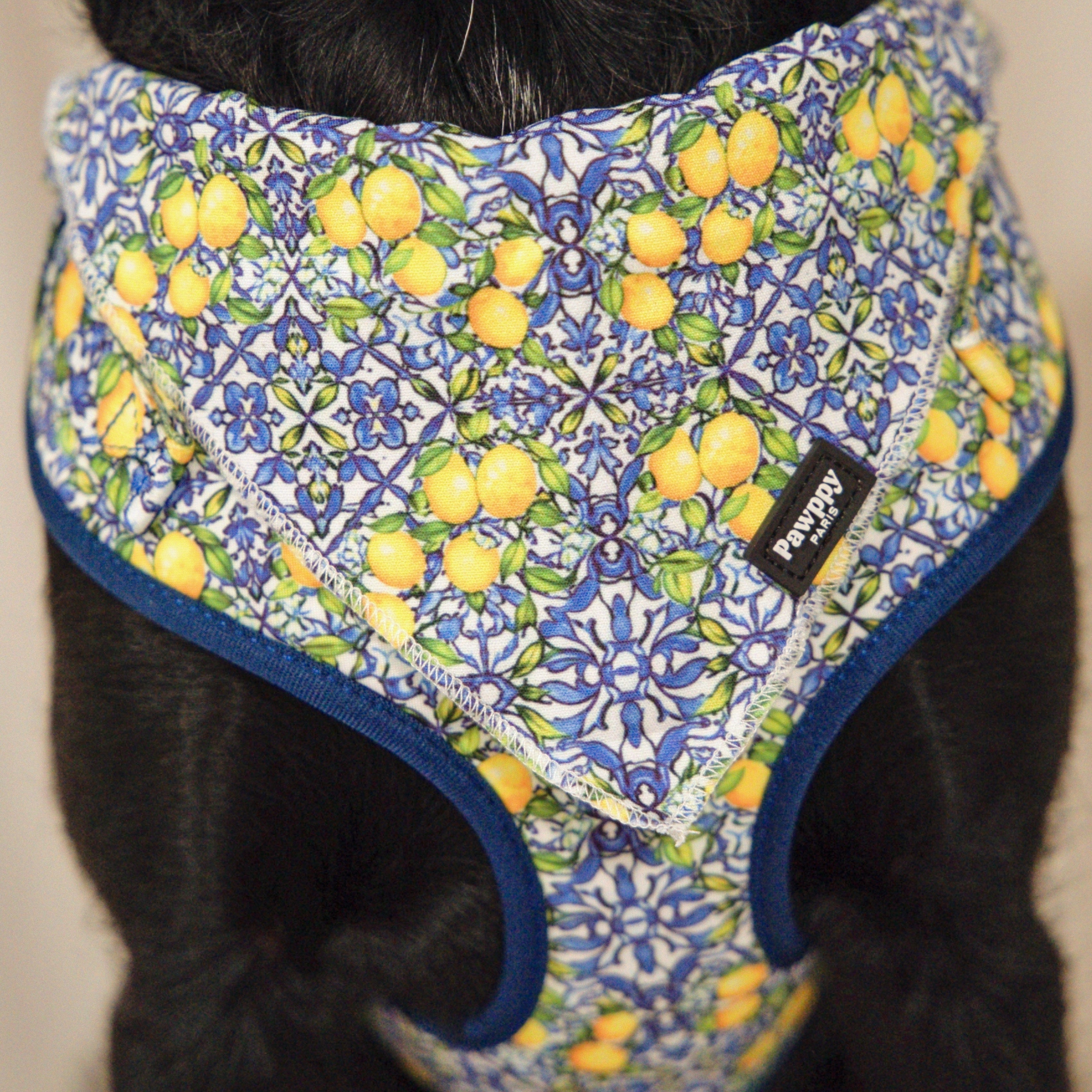 Bandana Amalfi - Pawppy Paris
