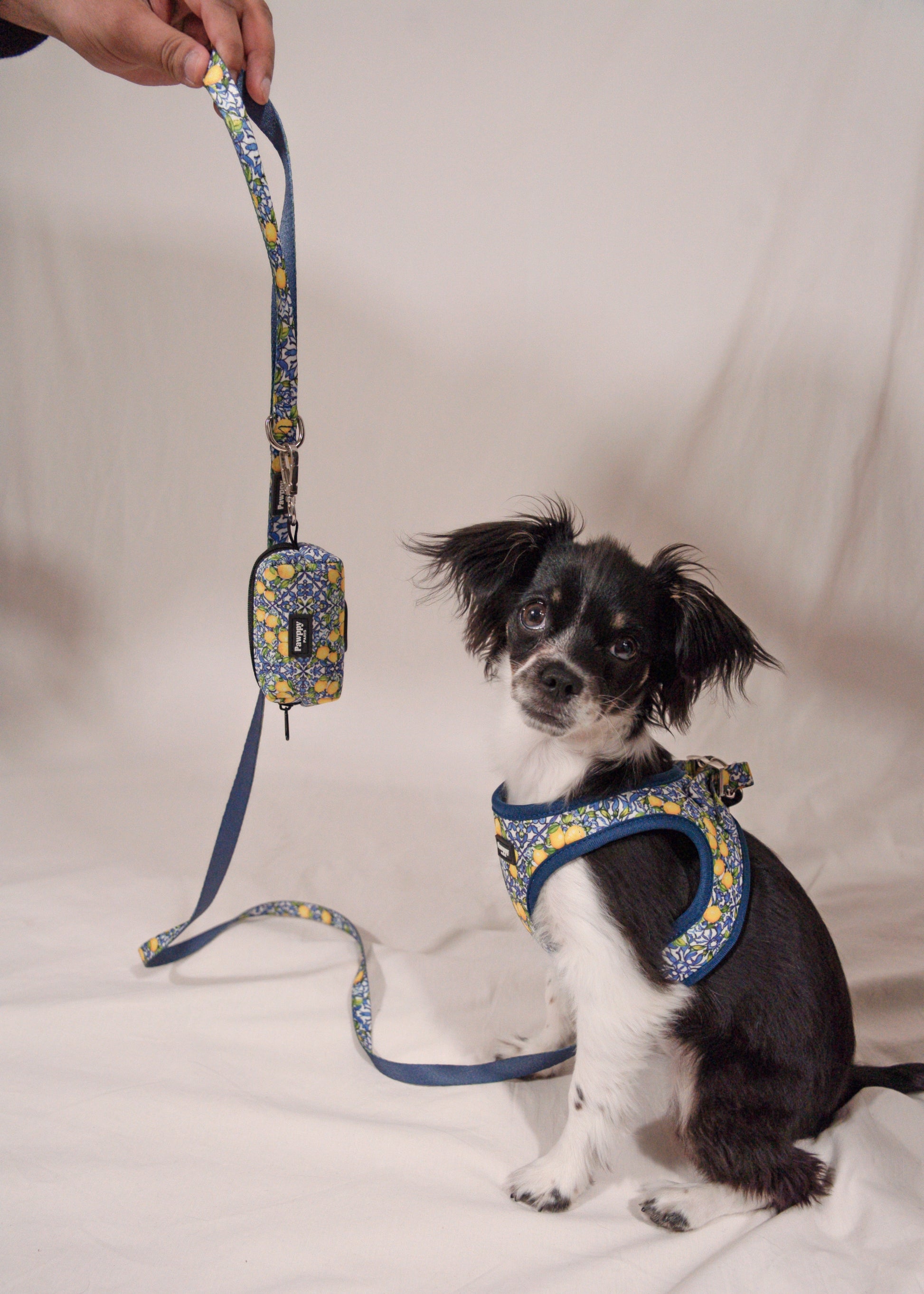 Kit Mini Amalfi - Pawppy Paris