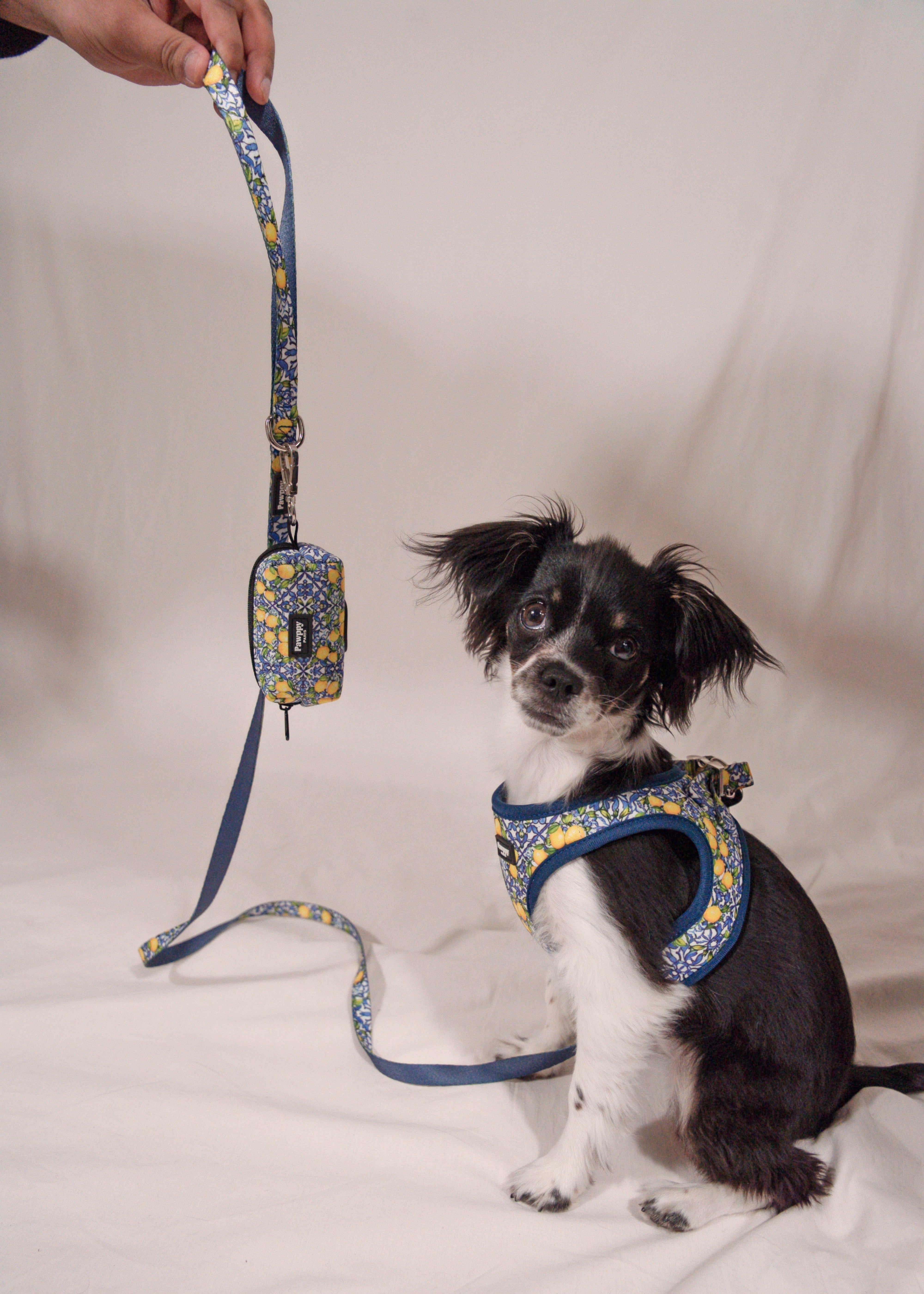 Kit Mini Amalfi - Pawppy Paris