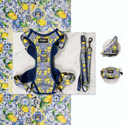 Kit Maxi Amalfi - Pawppy Paris