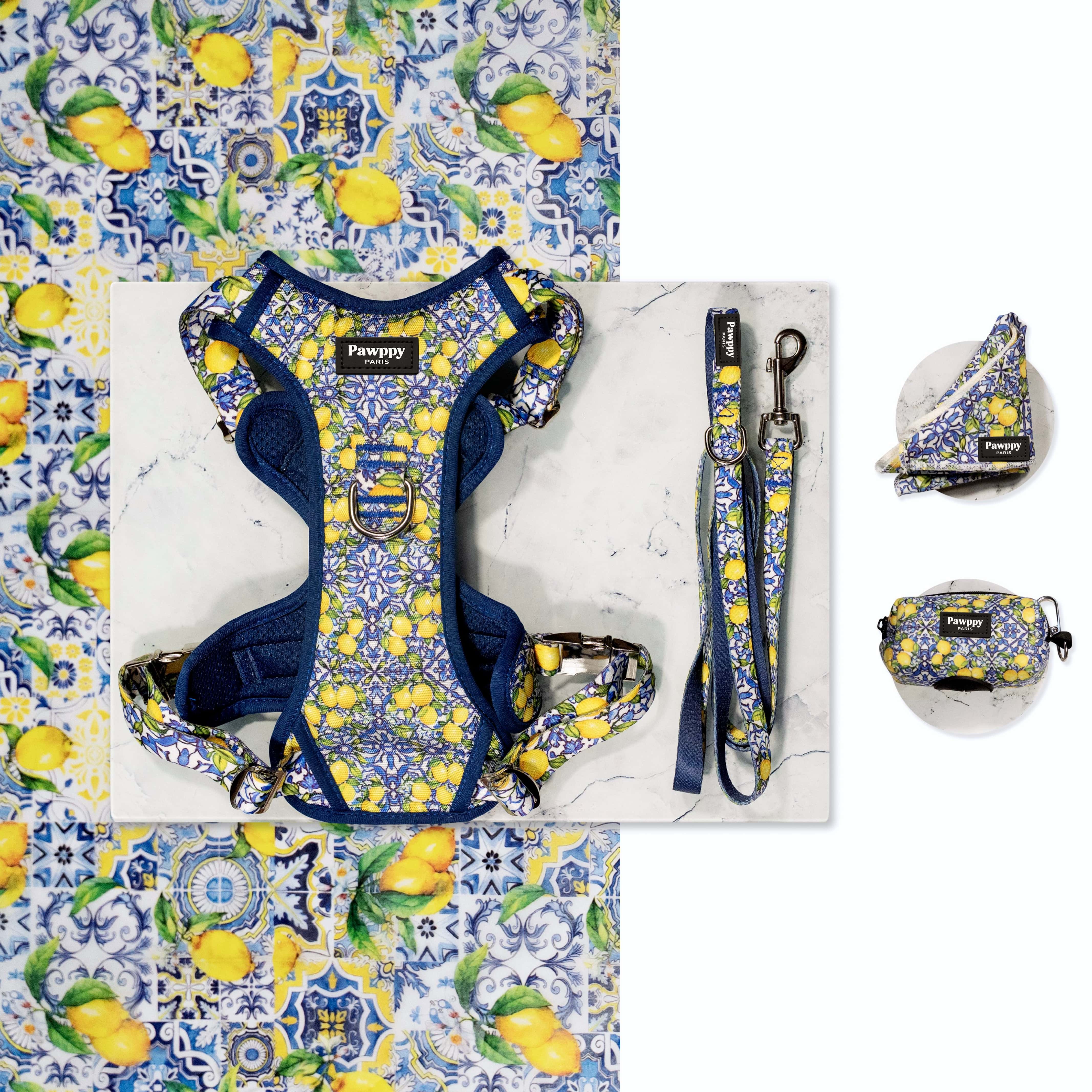 Kit Maxi Amalfi - Pawppy Paris