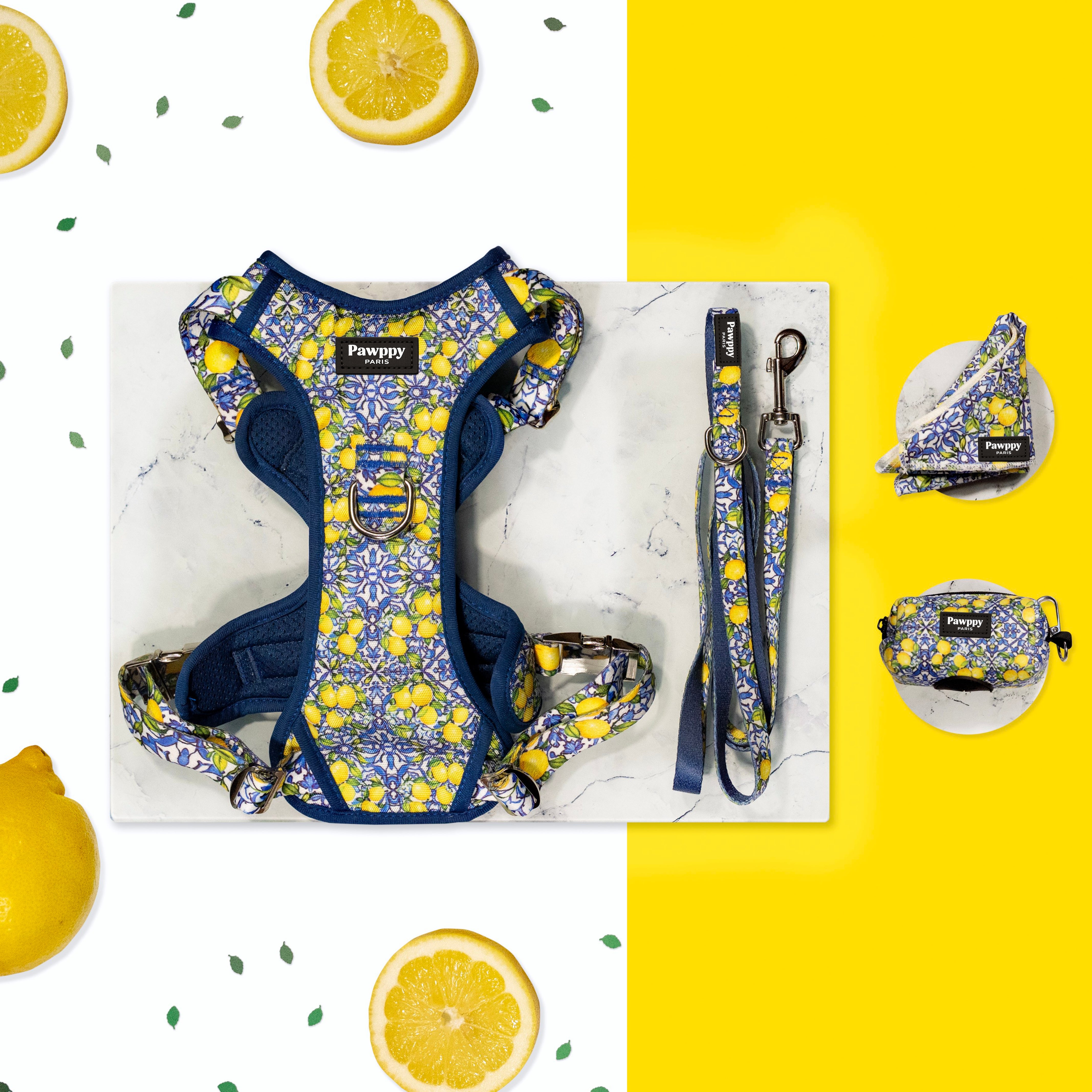 Kit Maxi Amalfi - Pawppy Paris
