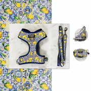 Kit Midi Amalfi - Pawppy Paris