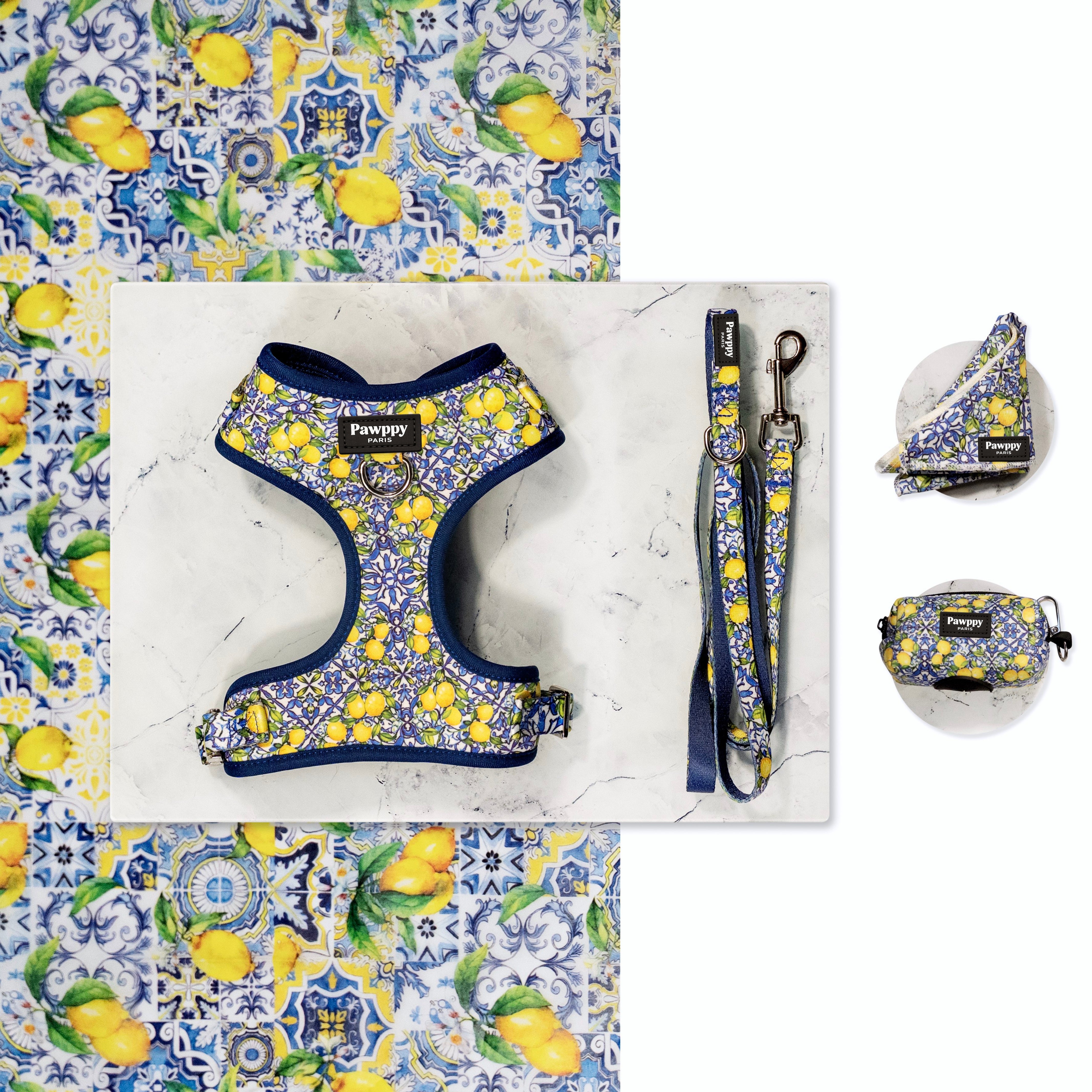 Kit Midi Amalfi - Pawppy Paris