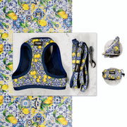 Kit Mini Amalfi - Pawppy Paris