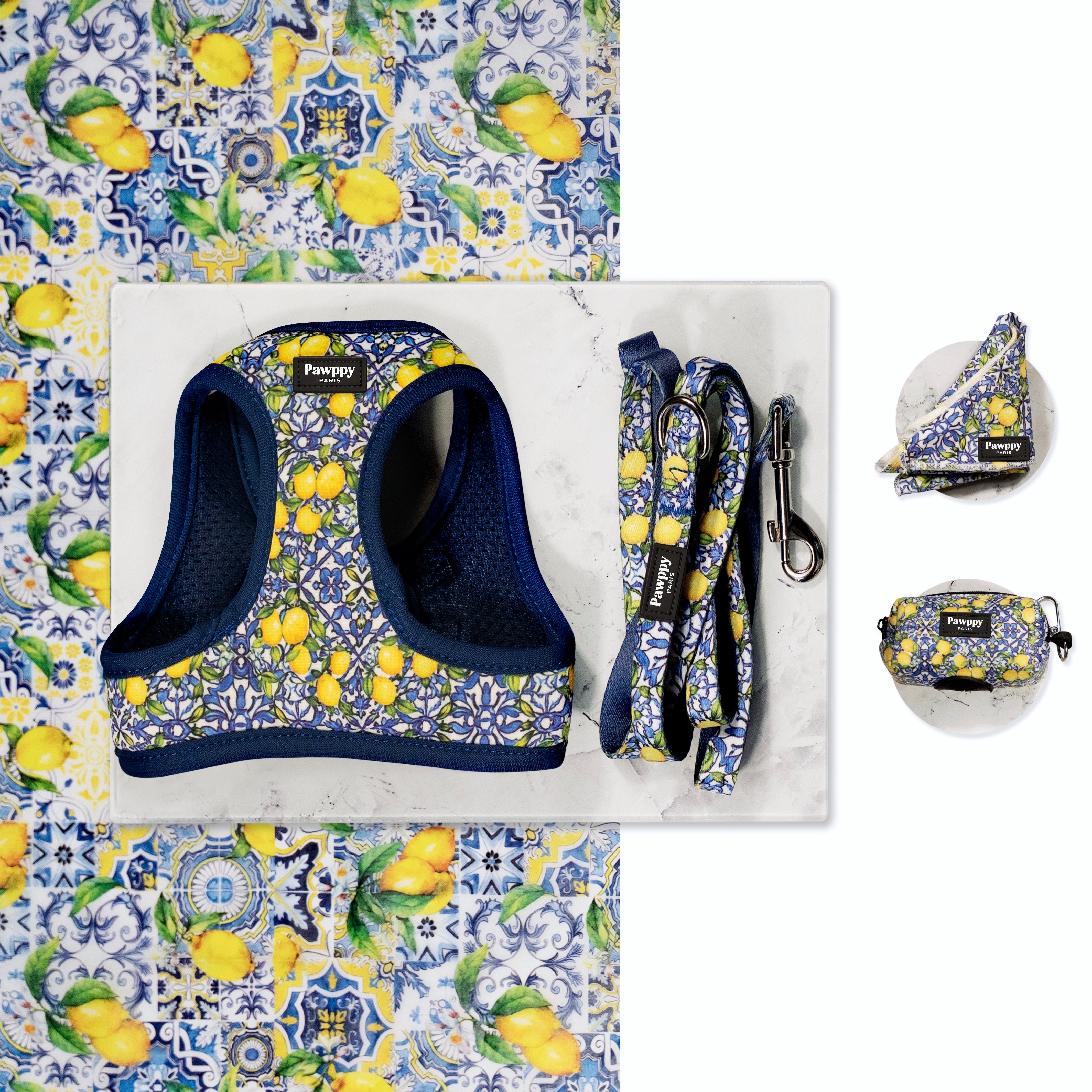 Kit Mini Amalfi - Pawppy Paris