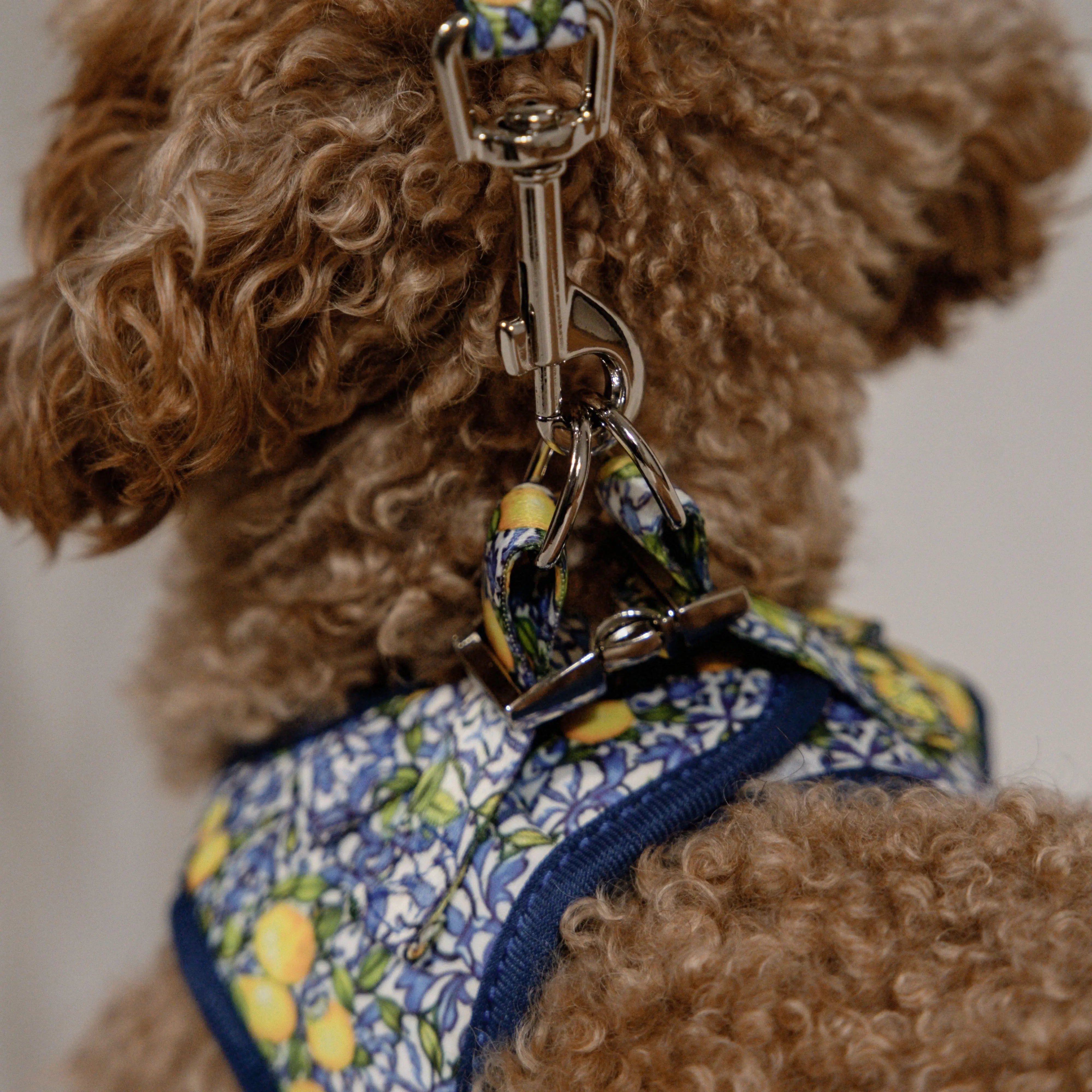 Laisse Amalfi - Pawppy Paris