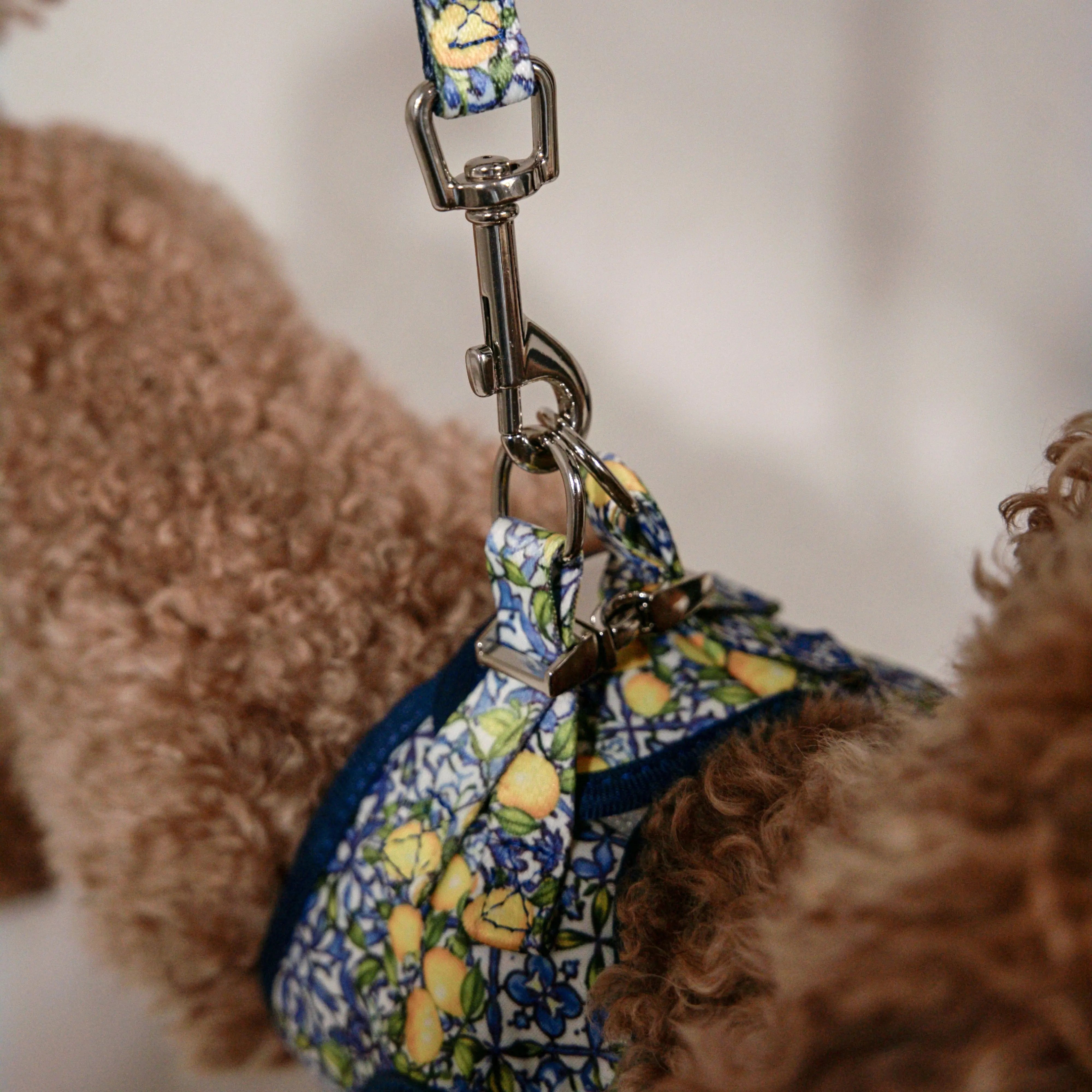Kit Mini Amalfi - Pawppy Paris