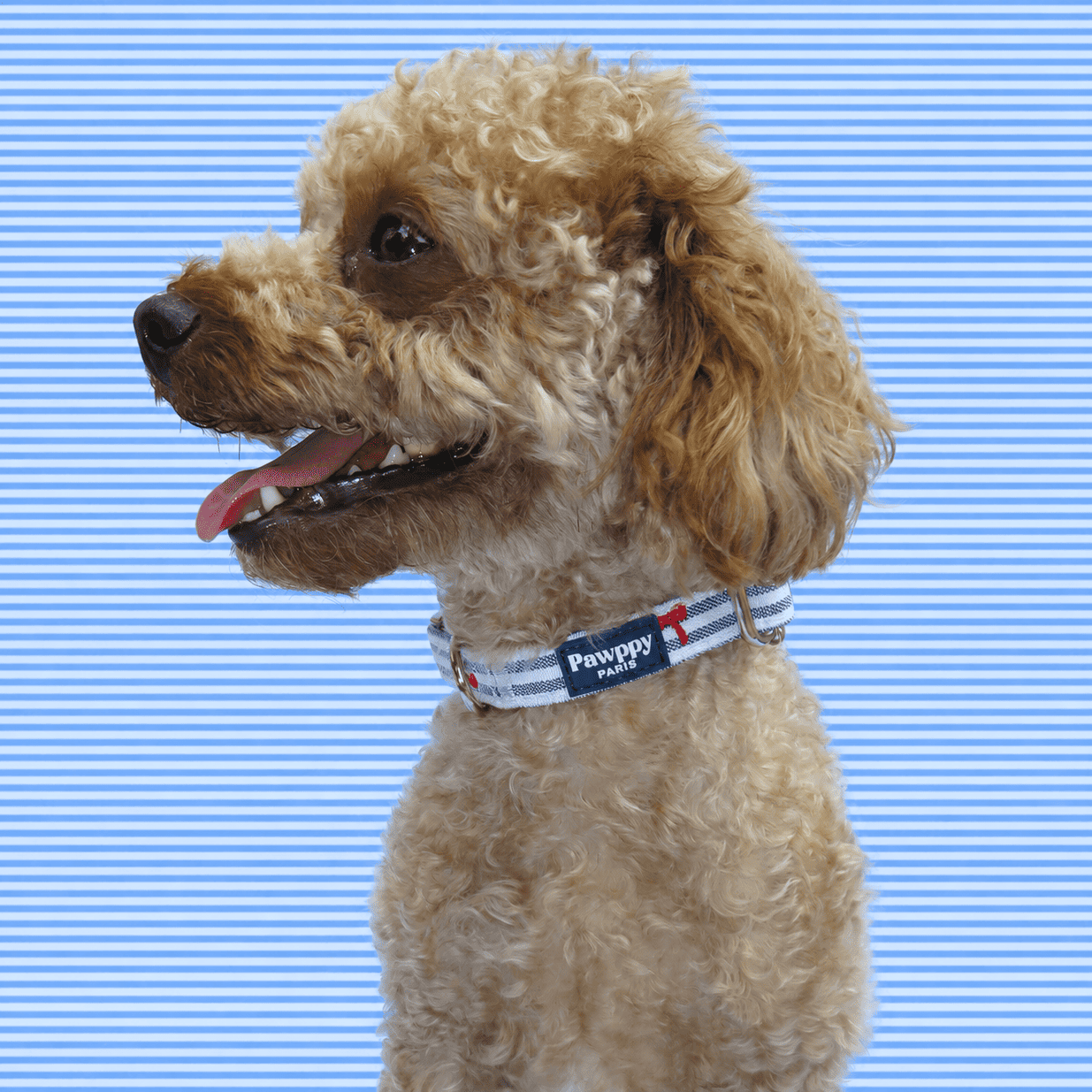 Collier Chéri - Pawppy Paris