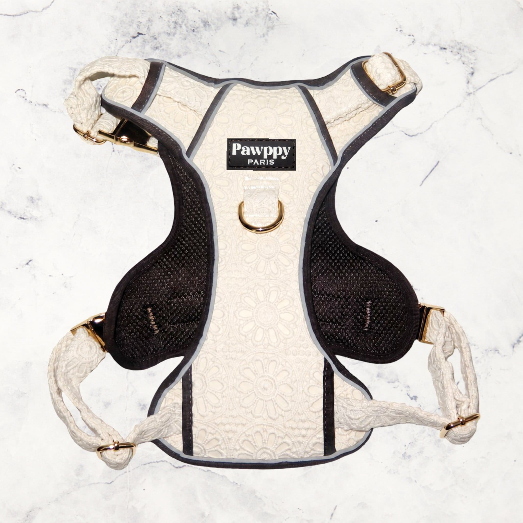 Harnais Maxi Coco - Pawppy Paris