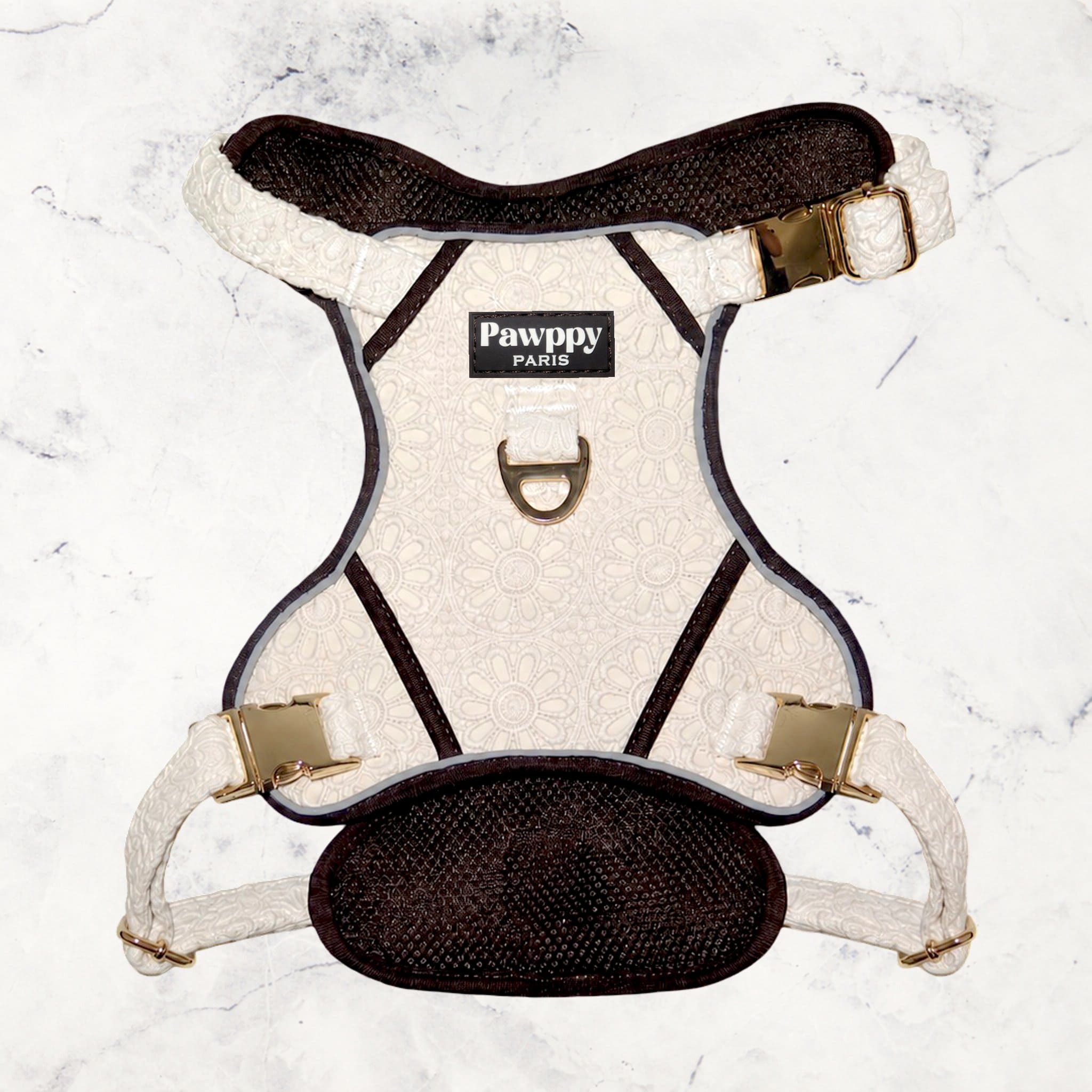 Harnais Maxi Coco - Pawppy Paris