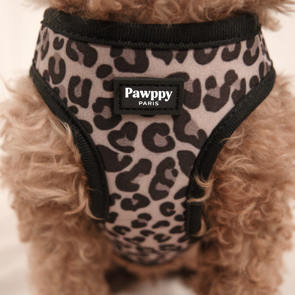 Kit Mini Jaguar - Pawppy Paris