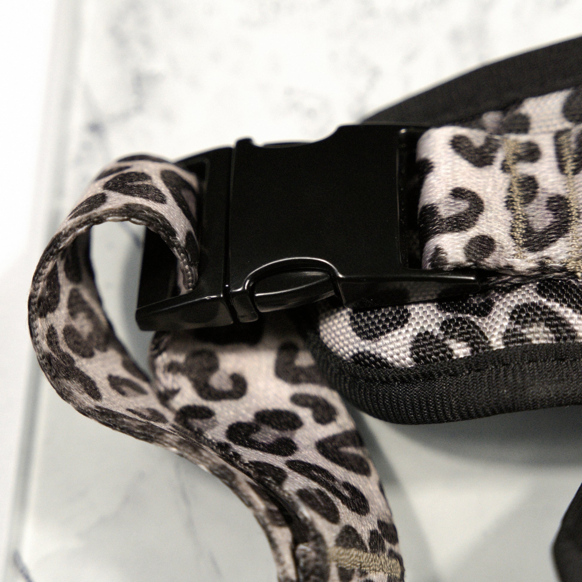 Kit Maxi Jaguar - Pawppy Paris