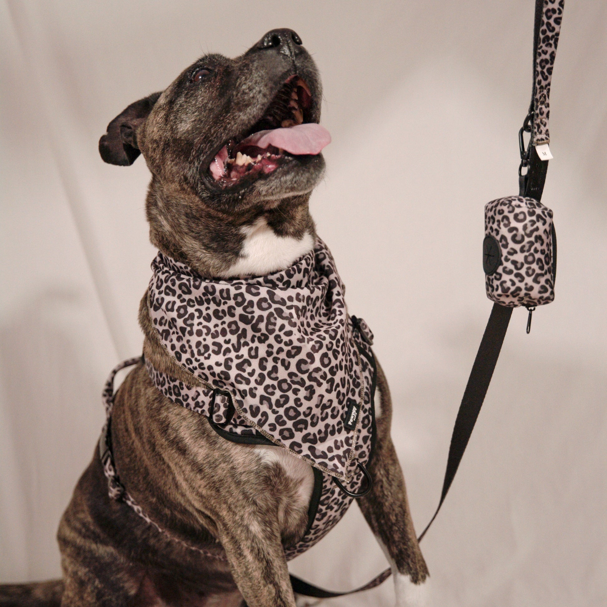 Porte-sacs Jaguar - Pawppy Paris