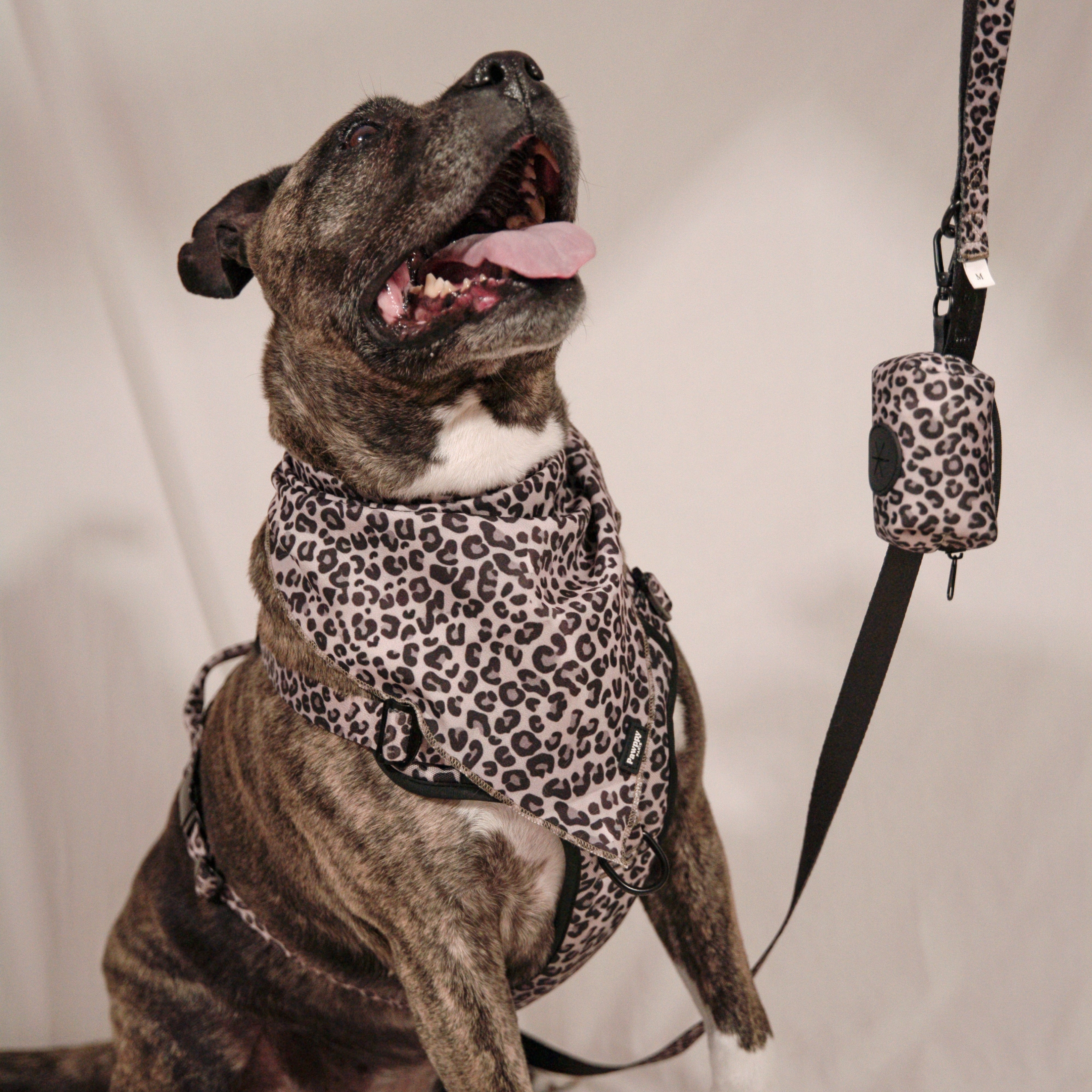 Porte-sacs Jaguar - Pawppy Paris