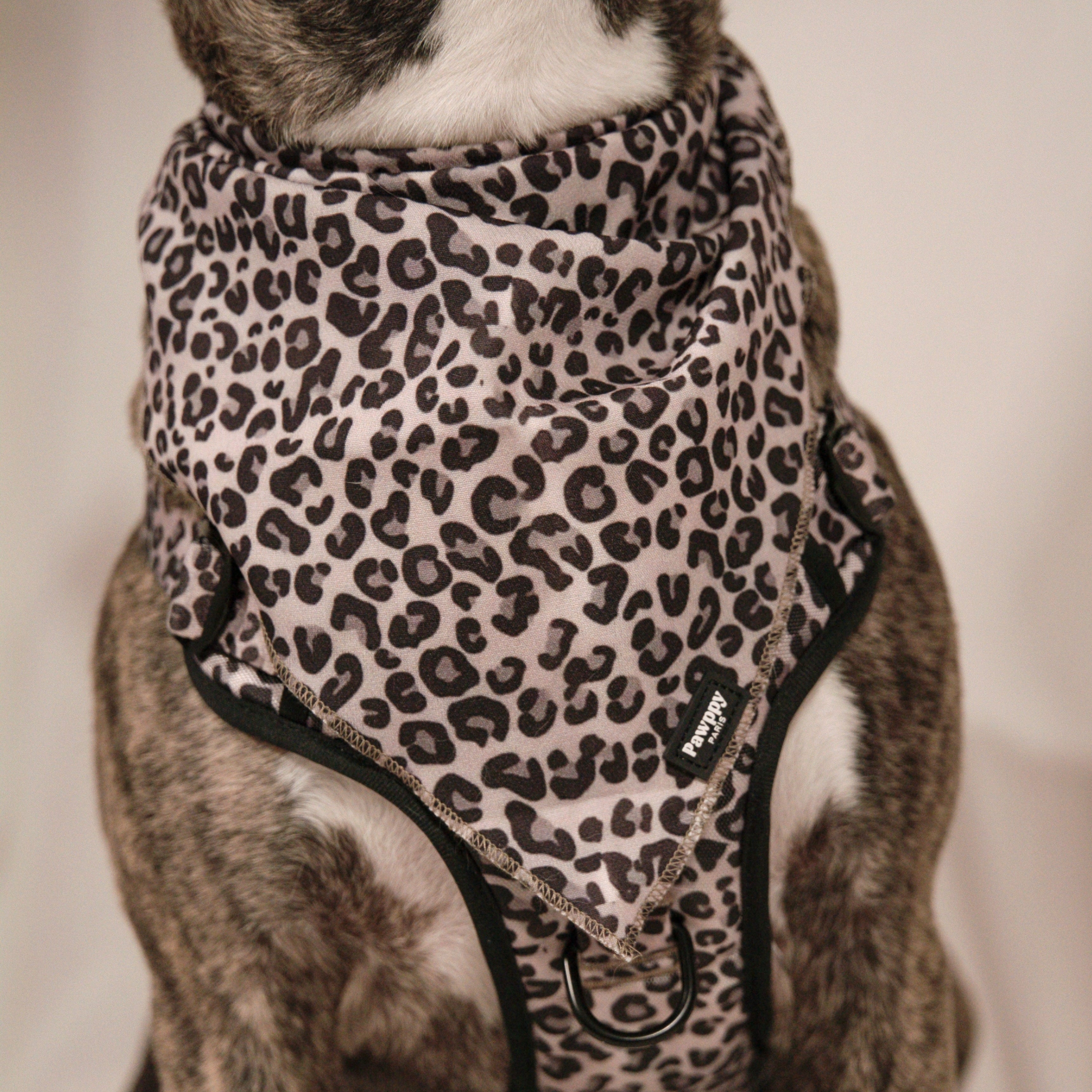 Bandana Jaguar - Pawppy Paris