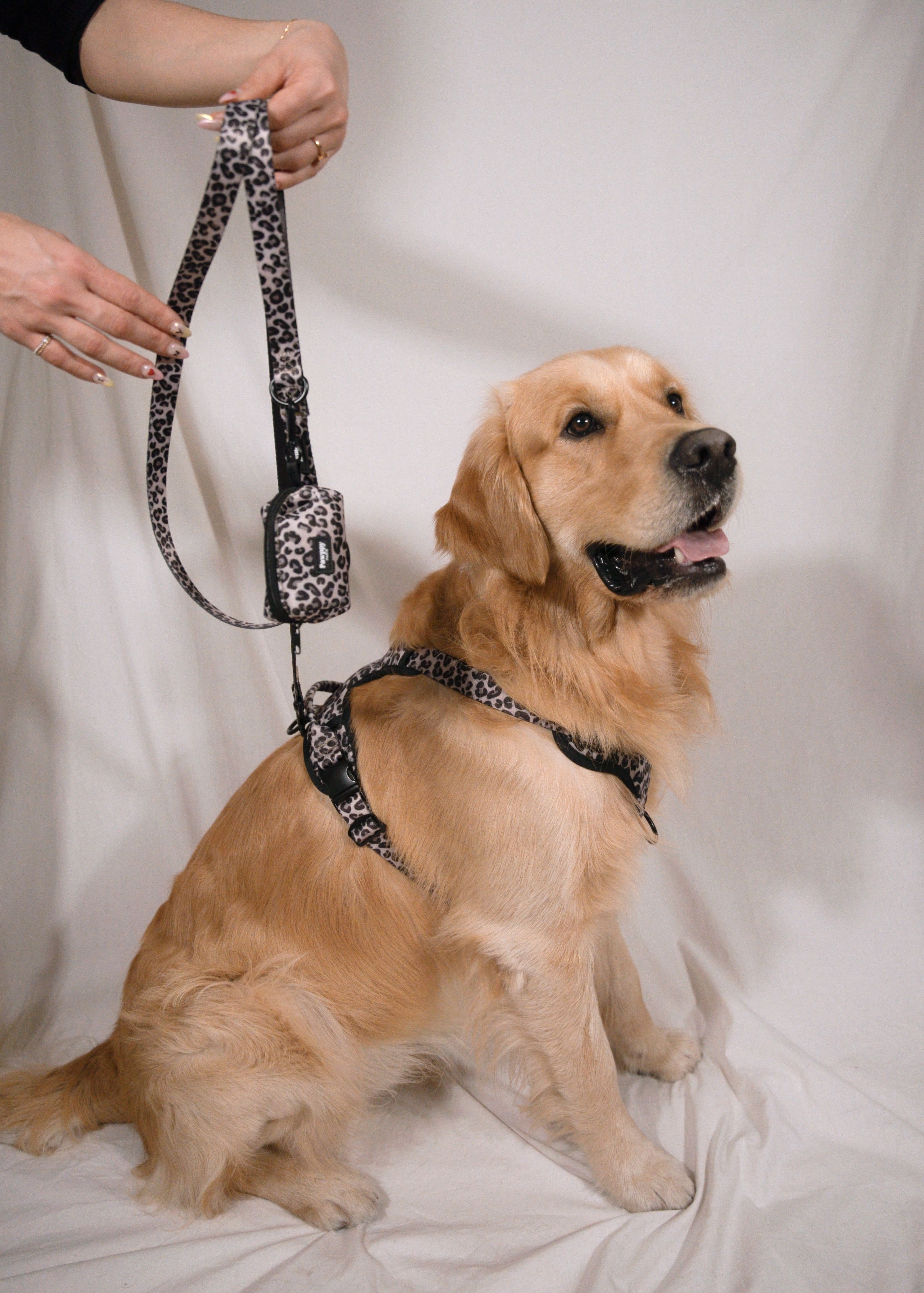 Pawppy Paris - Harnais Maxi Jaguar