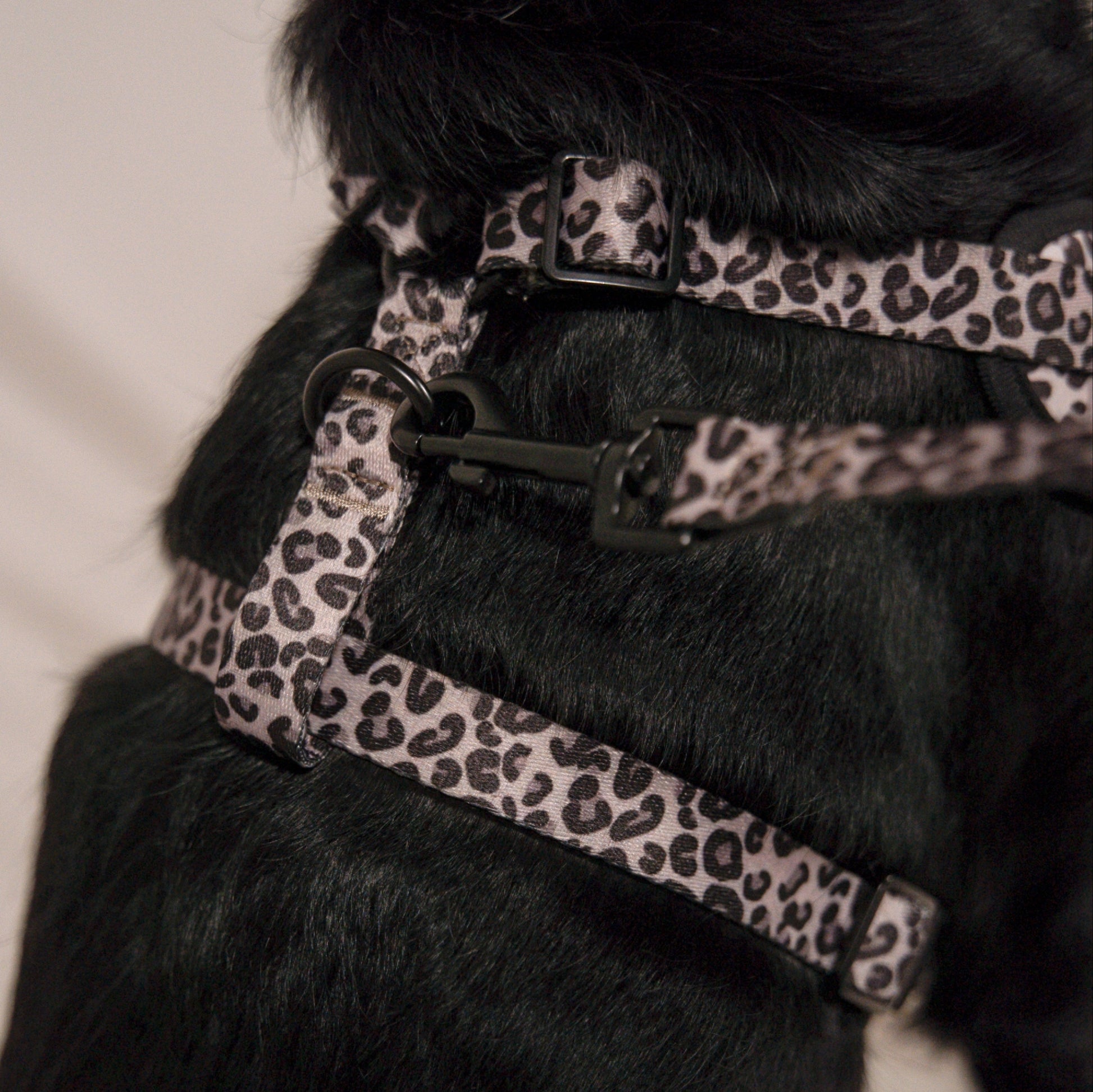 Laisse Jaguar - Pawppy Paris