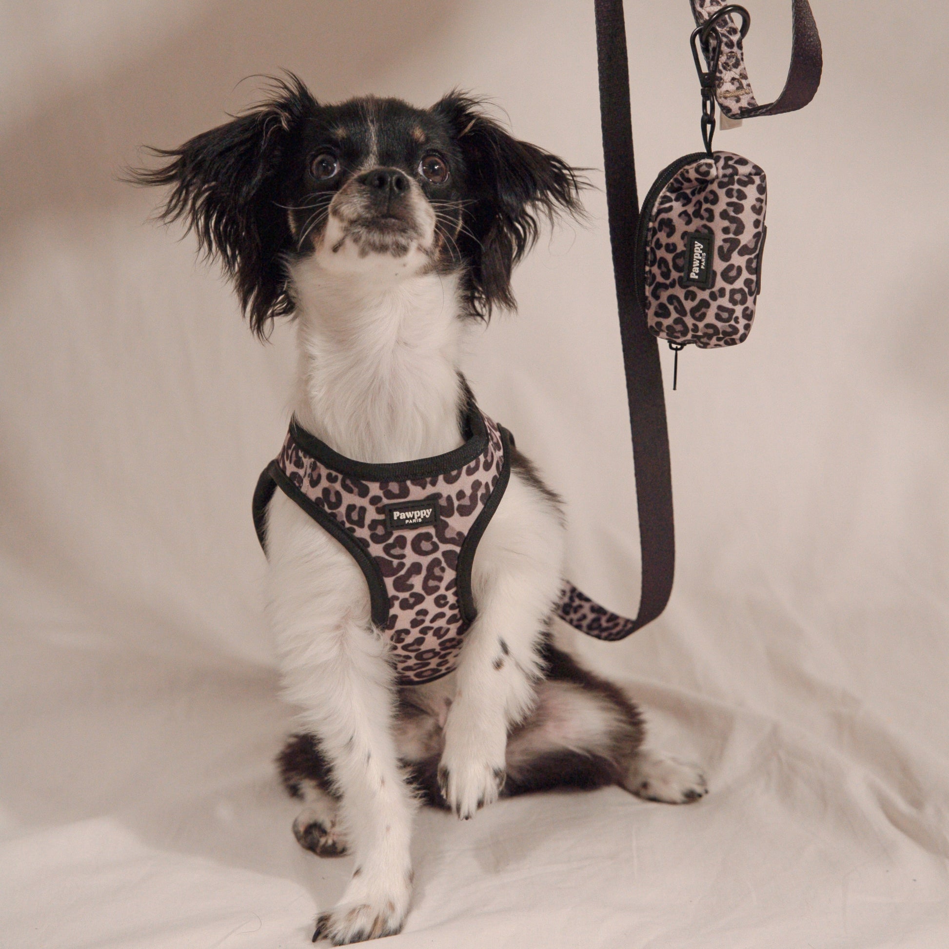 Porte-sacs Jaguar - Pawppy Paris