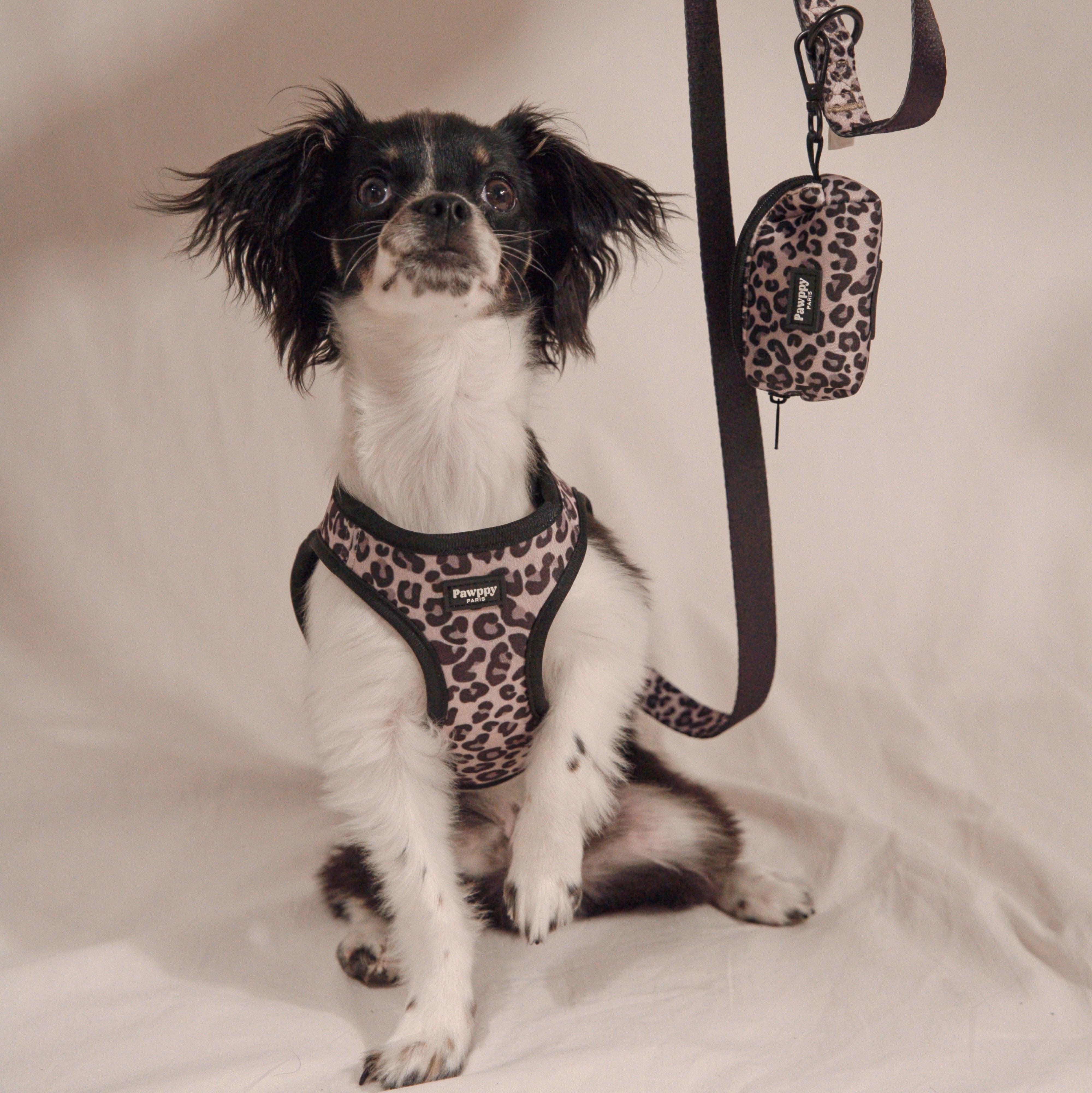 Porte-sacs Jaguar - Pawppy Paris