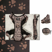 Kit Maxi Jaguar - Pawppy Paris