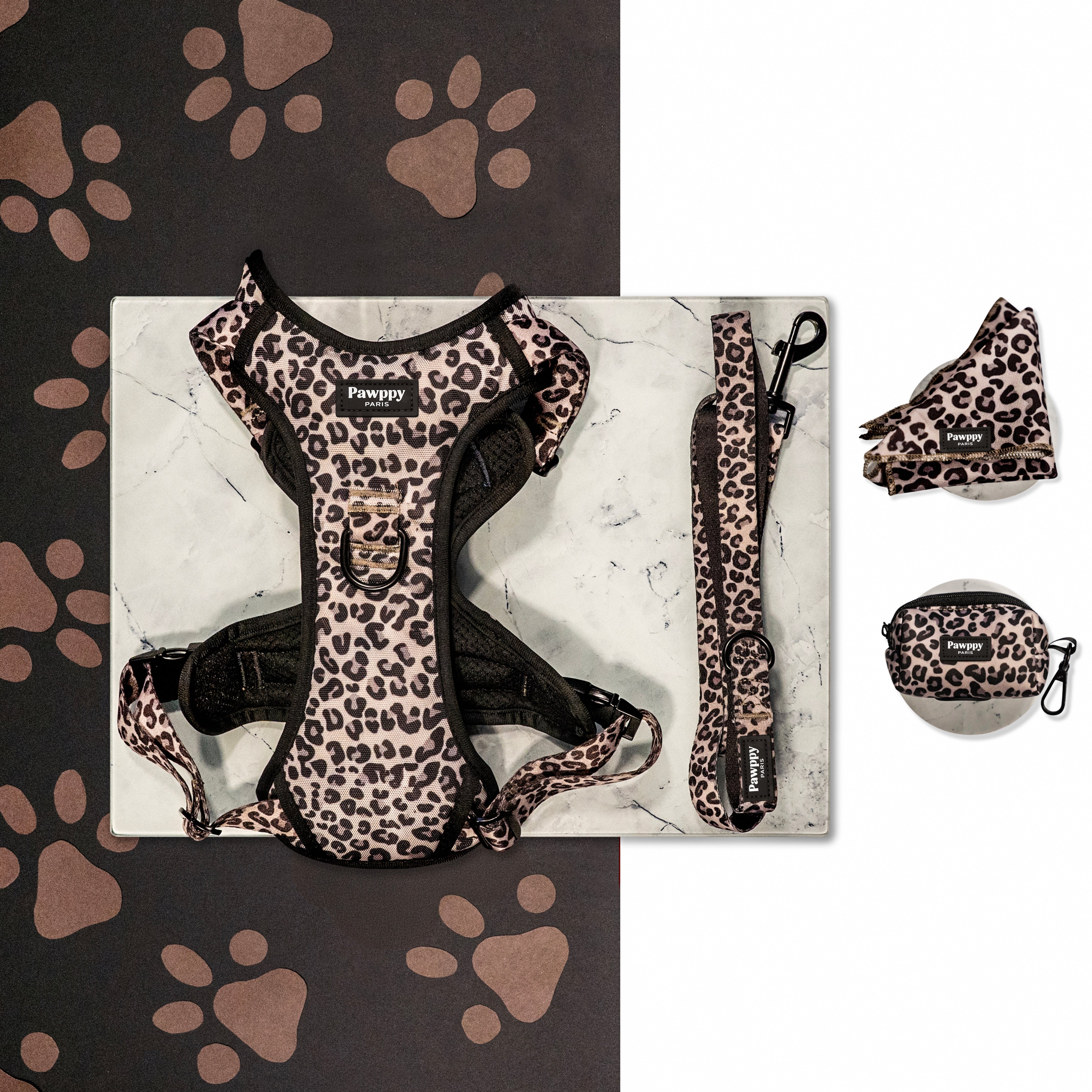 Kit Maxi Jaguar - Pawppy Paris