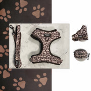 Kit Midi Jaguar - Pawppy Paris