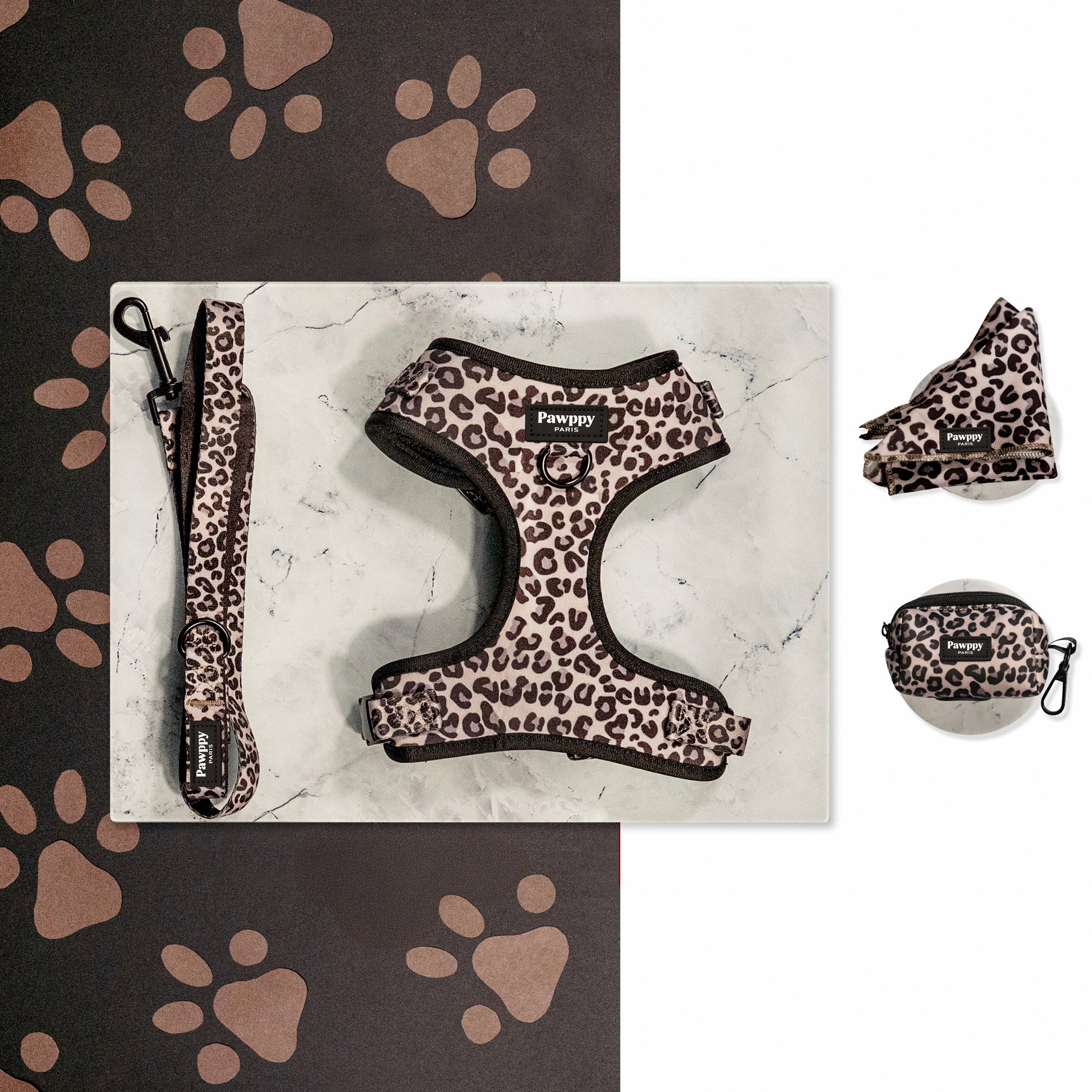 Kit Midi Jaguar - Pawppy Paris
