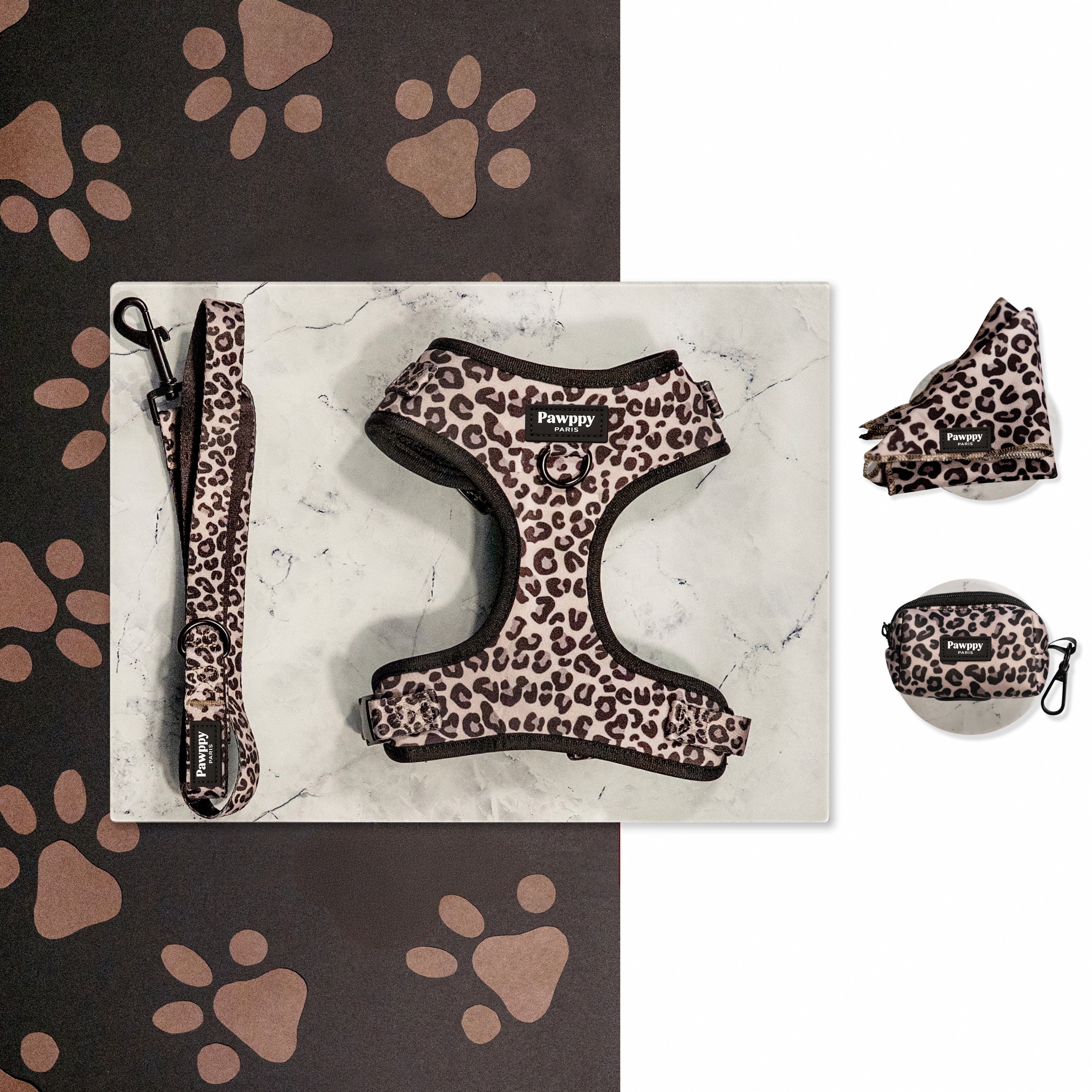 Kit Midi Jaguar - Pawppy Paris