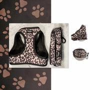 Kit Mini Jaguar - Pawppy Paris
