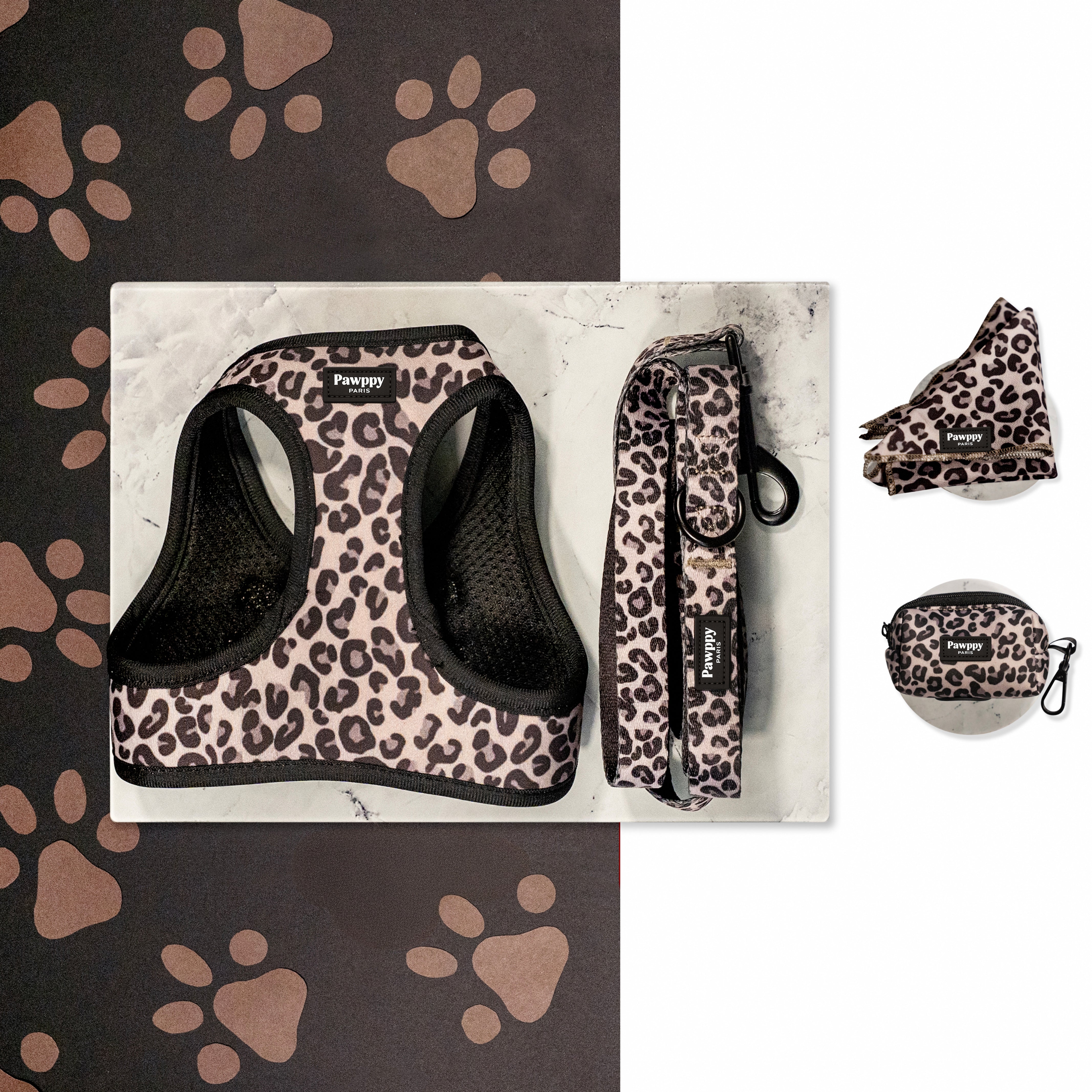 Kit Mini Jaguar - Pawppy Paris