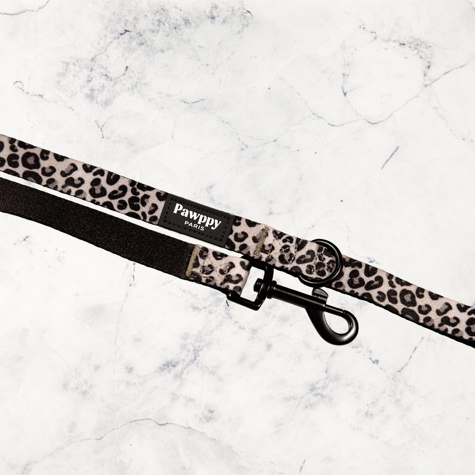 Kit Maxi Jaguar - Pawppy Paris