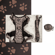 Kit Maxi Jaguar - Sans bandana Pawppy Paris