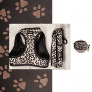 Kit Mini Jaguar - Sans bandana Pawppy Paris