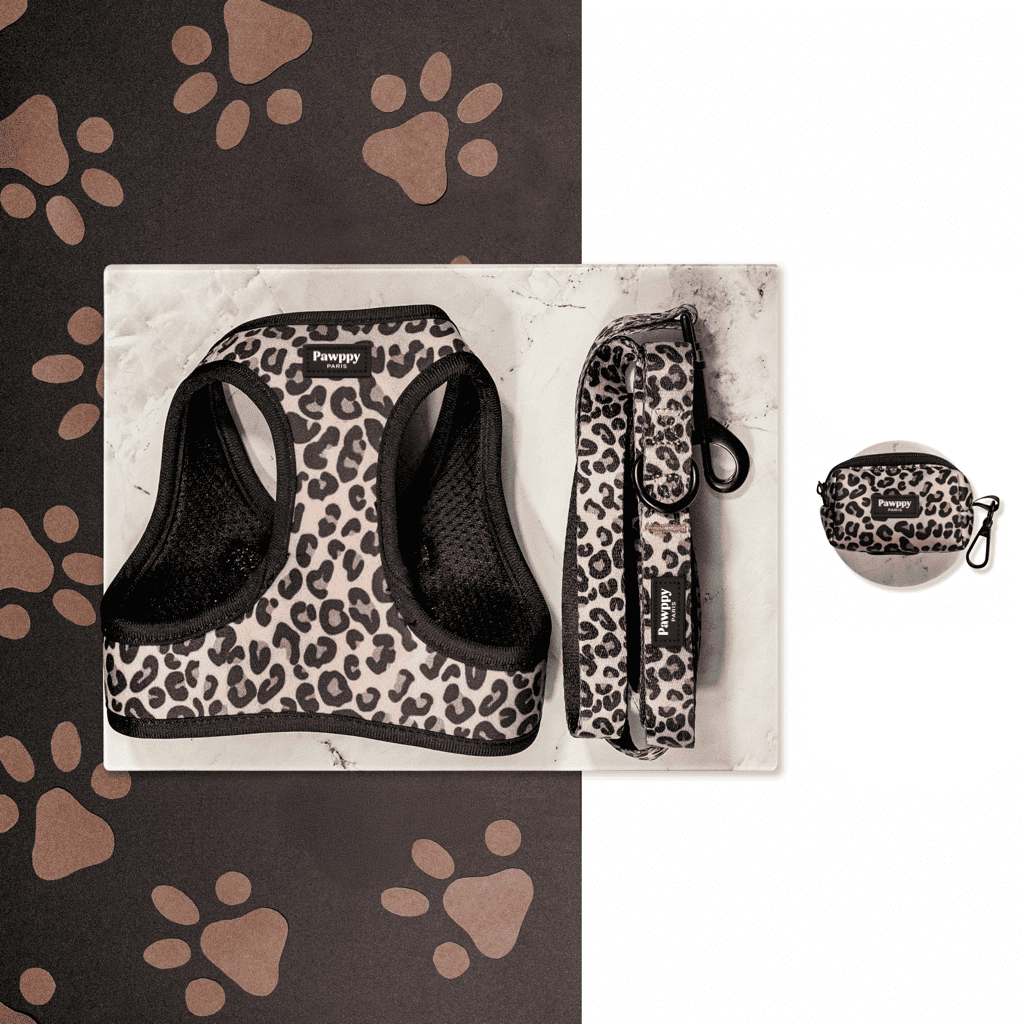 Kit Mini Jaguar - Sans bandana Pawppy Paris